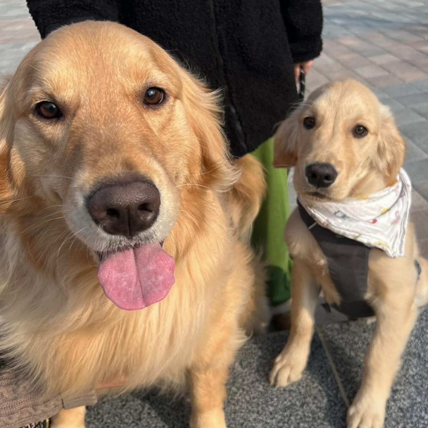 칭구들 많이 만나서 행복한 날💛
새해 복 많이 받아 친구들아!!!💛💛