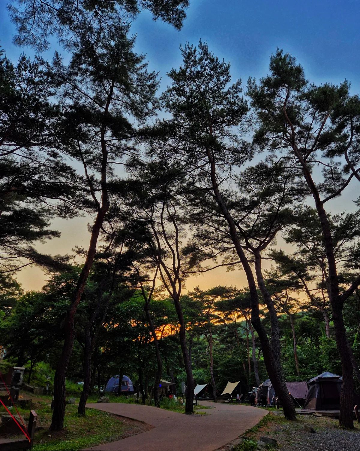 🏕48
두 달 전에 다녀온 두 번째 작천정 별빛야영장. 
초록초록한거 잔뜩 보고 신선한 공기도 깊게 마시고 옴. 소고기 구워먹고 추어탕도 먹었는데 사진이 어디로 사라졌지.