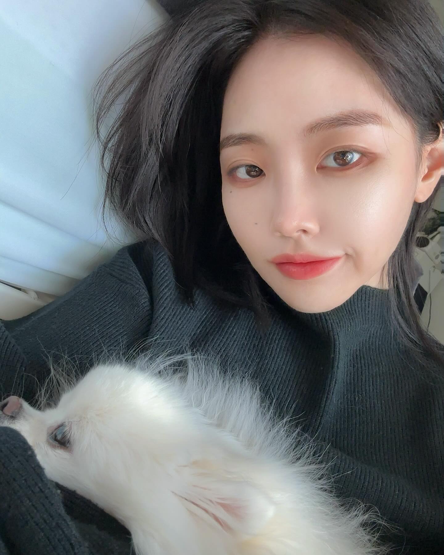 보호자에게 분리불안이 있습니다