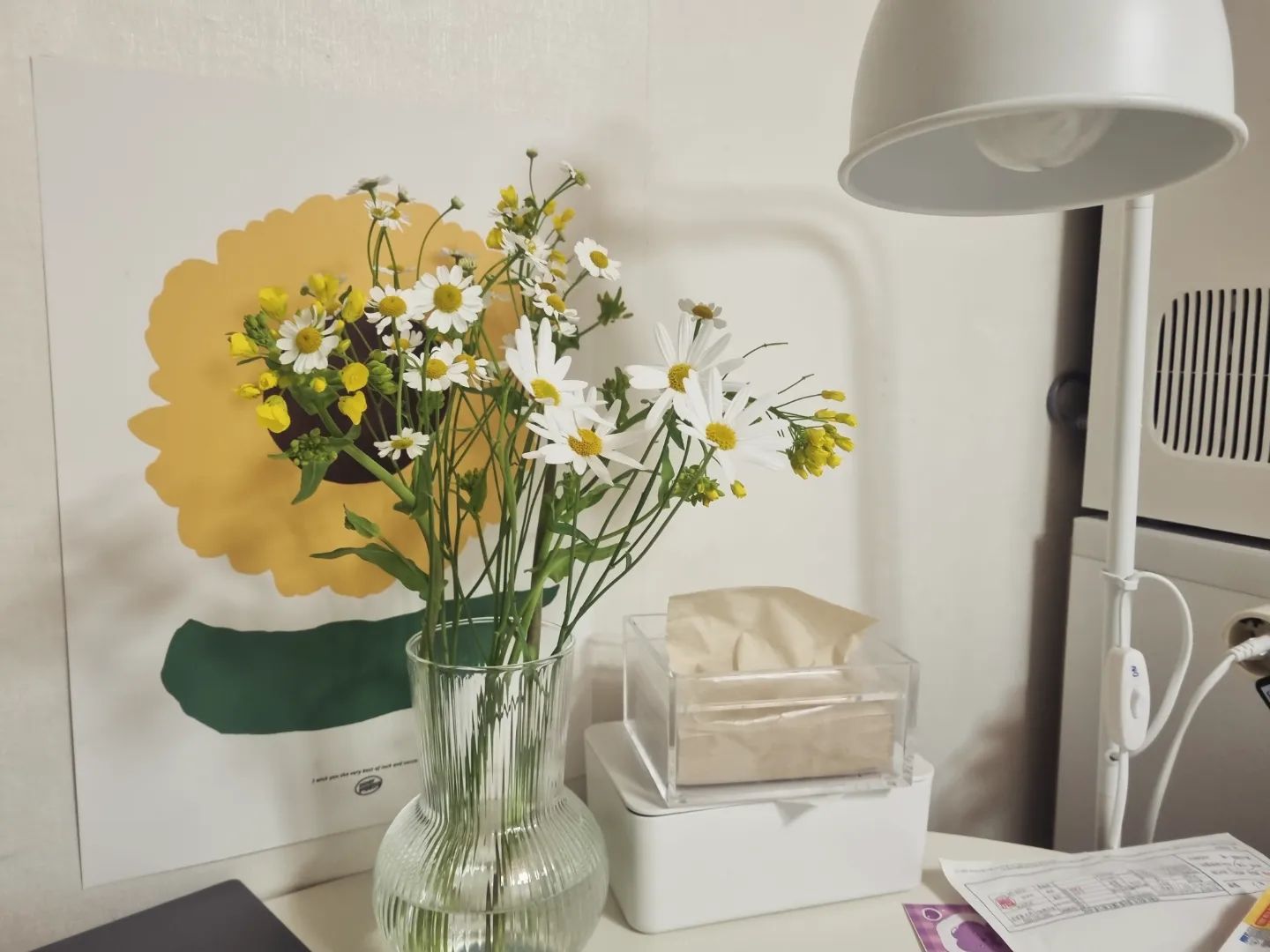 간만에 꽃~ 💐
그리고 호시탐탐 노리는 후추냥이

#먹지마라쫌 #마거리트 #마트리카리아🌼 #유채꽃 #봄꽃
#넘이뻐 #넘나소중 #후추냥이 #꽃먹는고양이
