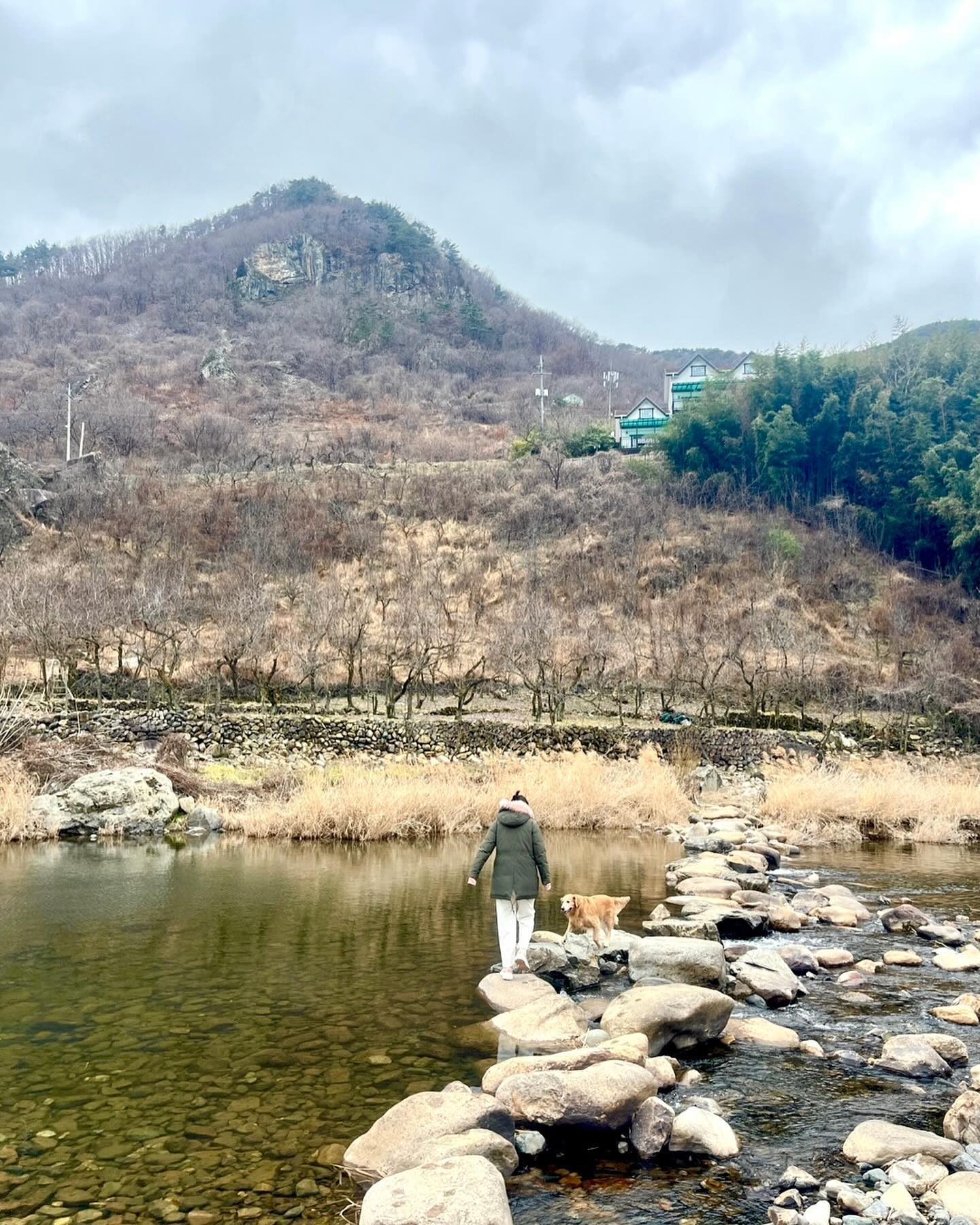 센스있는 신작가 덕분에 또 겨울 추억하나 쌓기☺️

#골든리트리버 #견생일기