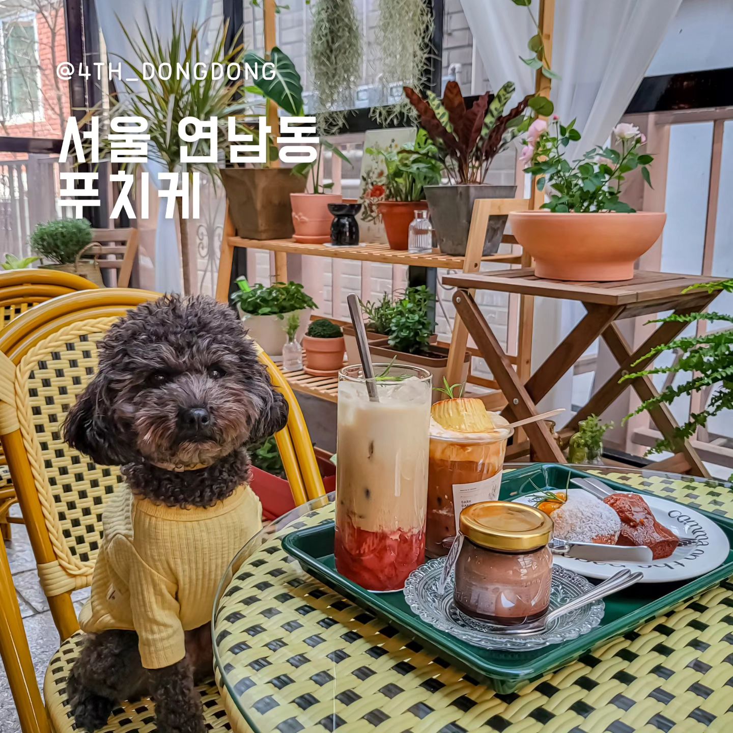 #푸치케 puchike_sweets
#연남동카페추천 #연남동애견동반 #연남동애견동반카페

요즘, 가는 곳마다 대박 맛집들만 찾아서 기분이 너무 좋아요 😍
행복한 요즈음!

🥄한줄평 : 세상에서 제일 맛있는 꾸덕한 푸딩 🍮

🔸️세.젤.맛 푸딩 🍮
여기 푸딩이 지금까지 먹었던 푸딩 중에 제일 맛있었어요 🤤
기존 푸딩과는 다르게 젤라틴이 들지 않아,
꾸덕꾸덕 그리고 부드러운 푸딩❤️
다크카카오푸딩은 달콤 씁쓸, 초콜렛을 입에 넣은 느낌이었어요 😆
포장해서 집에서 먹은 스카치위스키푸딩은 이거시 바로 으른의 맛!
요즘 정말 먹기 힘든, 정통 커스터드 푸딩 🍮

🔸️수제 디저트 맛집 🥐 
휘낭시에와 마들렌, 소금빵까지 야무지게 먹고 왔는데도!
다 맛있고 아쉬워서.. 또 아무지게 포장해서 왔답니다 😊
포장해온 걸 방금 친구랑 먹었는데, 친구가 너무 맛있다고
가게 정보 물어본 건 안 비밀! 🤫
시그니처인 푸치크림플랫은 에스프레소+우유+생크림+미니푸딩이
들어간, 맛있는 거+맛있는 거 조합이라 진짜 JMT 그 잡채❤️
또 같이 마신 딸기 밀크티는 🍓의 상콤함과 밀크티의 부드러움이❤️

🔸️예쁘고 사랑스러운 공간
내부는 유럽 감성 듬뿍 넣어 예쁘게 꾸며져있고,
외부(유리온실 느낌)는 다양한 식물들과 노랑노랑의 조화💛
그리고 밖에서 바라보는 푸치케는, 예쁜 선물 그잡채!
어디서 사진을 찍어도 너무 예쁘게 잘 나오더라구요!

🍽푸치케 
📍서울시 마포구 성미산로23안길 20-6
⏰️월~금 10:00~19:30, 토~일 10:00~20:00
📝반려동물 동반 가능, 화장실 실내

#연남동푸딩 #연남푸딩 #홍대푸딩 #홍대애견동반카페 #신상카페 #신상카페추천 #연남동신상카페 #디저트카페추천 #홍대디저트카페 #연남동디저트카페 #푸딩맛집추천 #푸딩음료 #푸딩맛집 #마들렌맛집 #메론빵맛집 #휘낭시에맛집 #연남동답례품 #홍대답례품 #연남동선물세트 #홍대선물세트