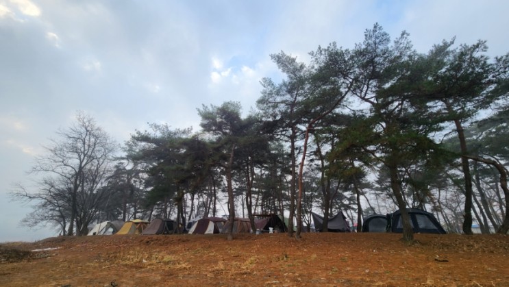 충북 괴산 아기랑 가기좋은 숲속의하모니 펜션&캠핑장 (생후6개월 데리고 다녀옴)