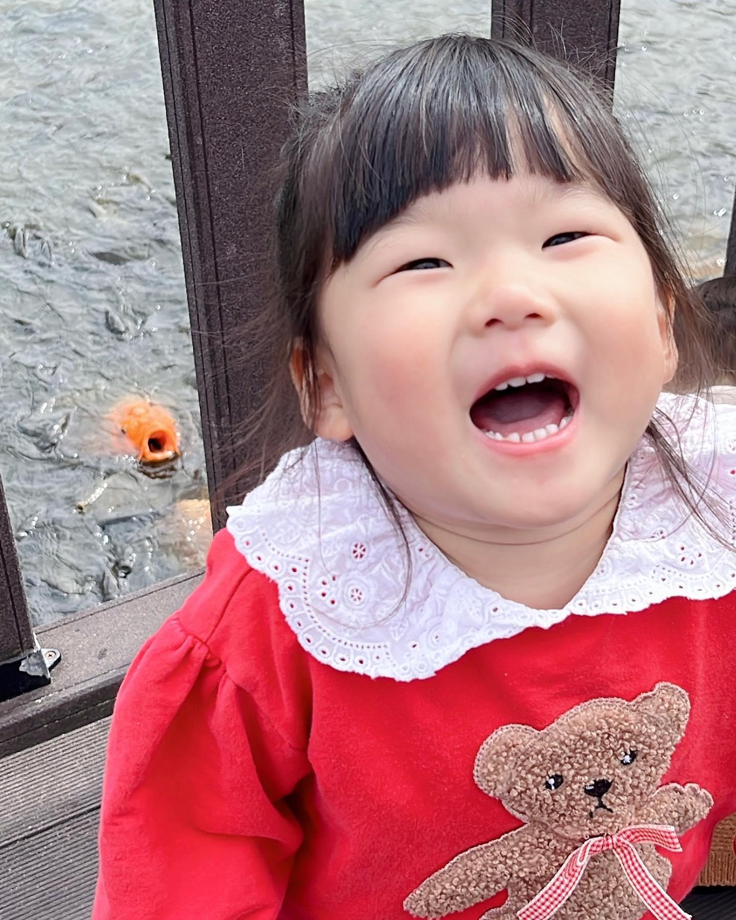 #둘째 #사랑둥이 #윤댕이빵댕이❤️
#37개월 #현실은애기애기 
.
.
우리 윤댕이사진보다가 귀염뽀짝 뿜뿜
잉어랑 똑같이 입벌리고 찍었네 ㅋㅋㅋㅋㅋ
또래보다 작아서 속상한데 그래서 더귀엽당🥰
조금만 천천히 커줬으면 좋겠다 싶을정도로
두돌이후로 이뿜 귀여움 만땅인 정이 👧🏻
.
.
내가 뭐하자고 부르면 “네~~”하고 총알처럼 오고
하원하고 눈마주치면 뽀뽀하고 웃고 안기고 여우짓
혼나는 상황이 생겨도 씨익 웃으며 또 안겨버리기 
신랑이 나는 윤댕이를 절대 이길수 없을거라나 ㅋㅋ
ㅋㅋㅋㅋㅋㅋㅋㅋㅋ맨날 지는데 왜일케 귀엽냥..
.
.
지금도 윤이뽕 아들래미는 자는데 누워서 티비보는중
언제잘래...? 그래도 조용조용한편이고 잘 앉아있고
잘 누워있고 잘 걸어댕기고 집중력도 꽤나 좋아서
데리고 다니면 신기하다고 주변에서 다들 ㅋㅋㅋㅋ
다들 낮잠 자고 혼자 안잘때에도 떠들지않고
자기 발가락 손가락 만지면서 노는 애 ㅋㅋ😋
.
.
귀염뽀짝 알겠는데 이젠 좀 자자 아가야
아기라고 하면 나 아기 아니야 하면서 으르렁거리는데
놀리면 반응 꿀잼이라 재밌 ㅋㅋㅋㅋㅋㅋㅋ
얼른 자자 🩷 
.
.
.
#육아일기 #연년생남매 #남매 #4살 #4살아기
#딸랑구 #귀염둥이💕 #사랑해 #육퇴좀시켜줘 
#육아소통 #육아맞팔 #소통해요 #애둘맘