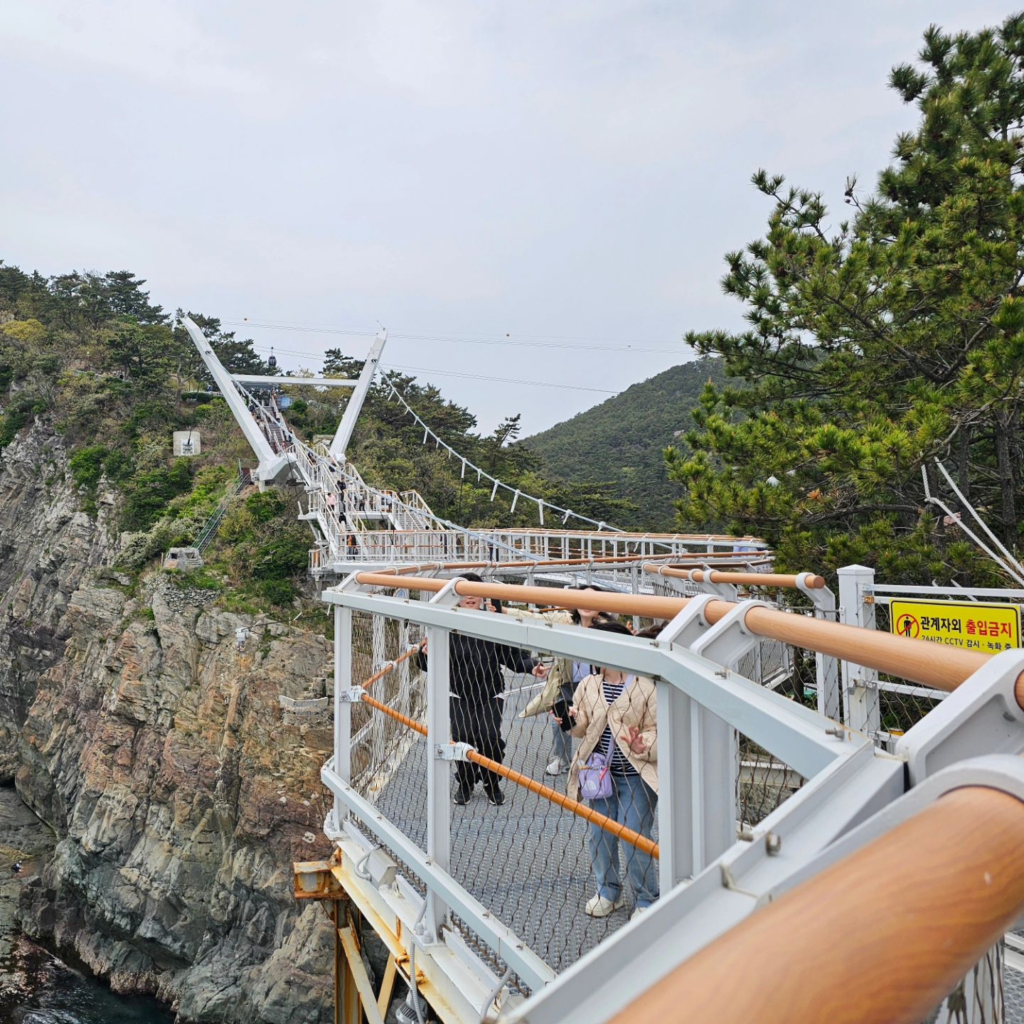 부산 송도용궁구름다리 

여기 보세요~~해도 안보이는 ㅋㅋㅋ 

점프라도 해보지 ㅋㅋ 

#부산용궁구름다리 #송도용궁구름다리 #Busan attraction