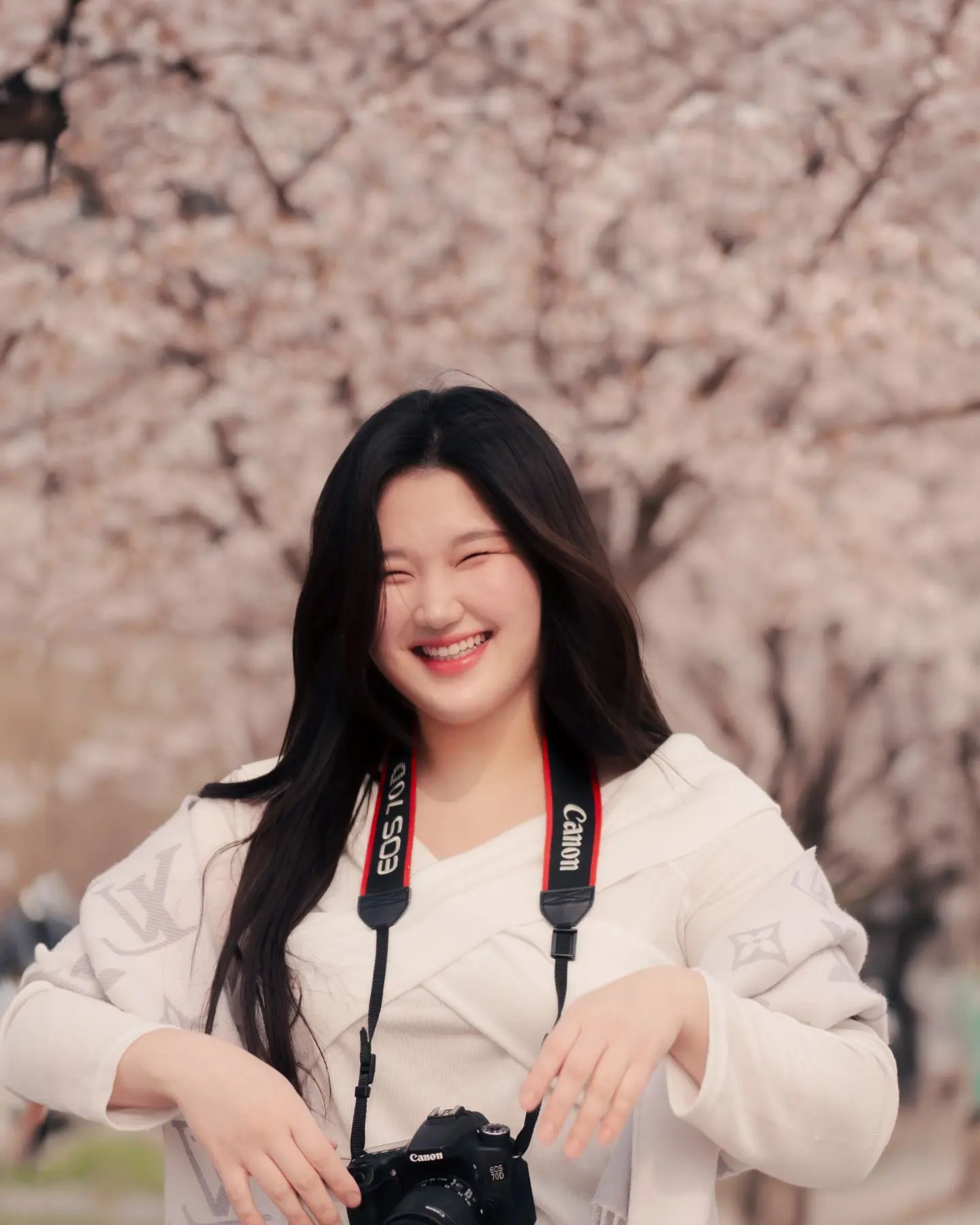벚꽃🌸