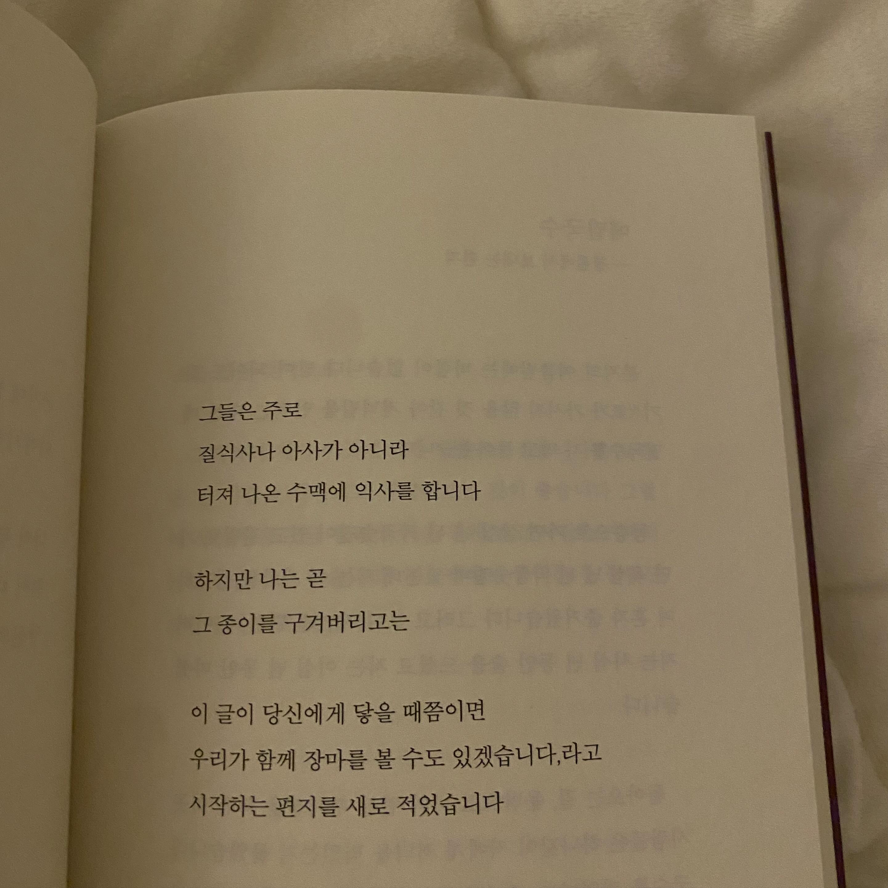여름을 사랑해보려 해도..🫠🫨 입추 D-36
