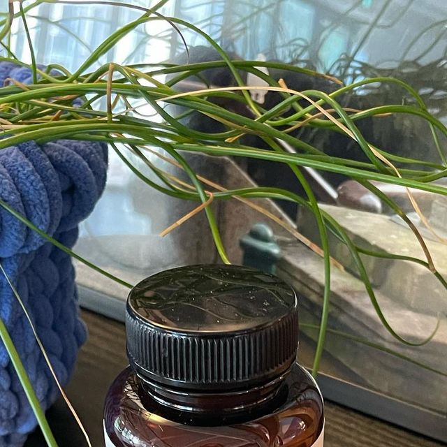욘두 on Instagram: "#협찬 @iruda_official_ ’프리미엄 로즈힙 엘라스틴 링곤베리퓨레 글루타치온‘ 제품 리뷰입니다🖤 ✨성분 ✔️로즈힙 : 혈중 콜레스테롤 수치가 감소에 도움 ✔️엘라스틴 :