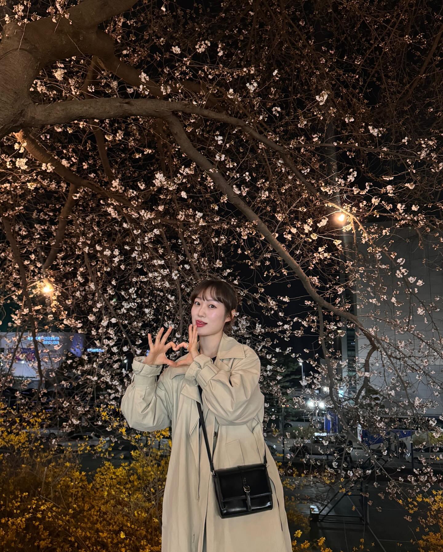 #평택대 #벚꽃축제 꽃구경🌸