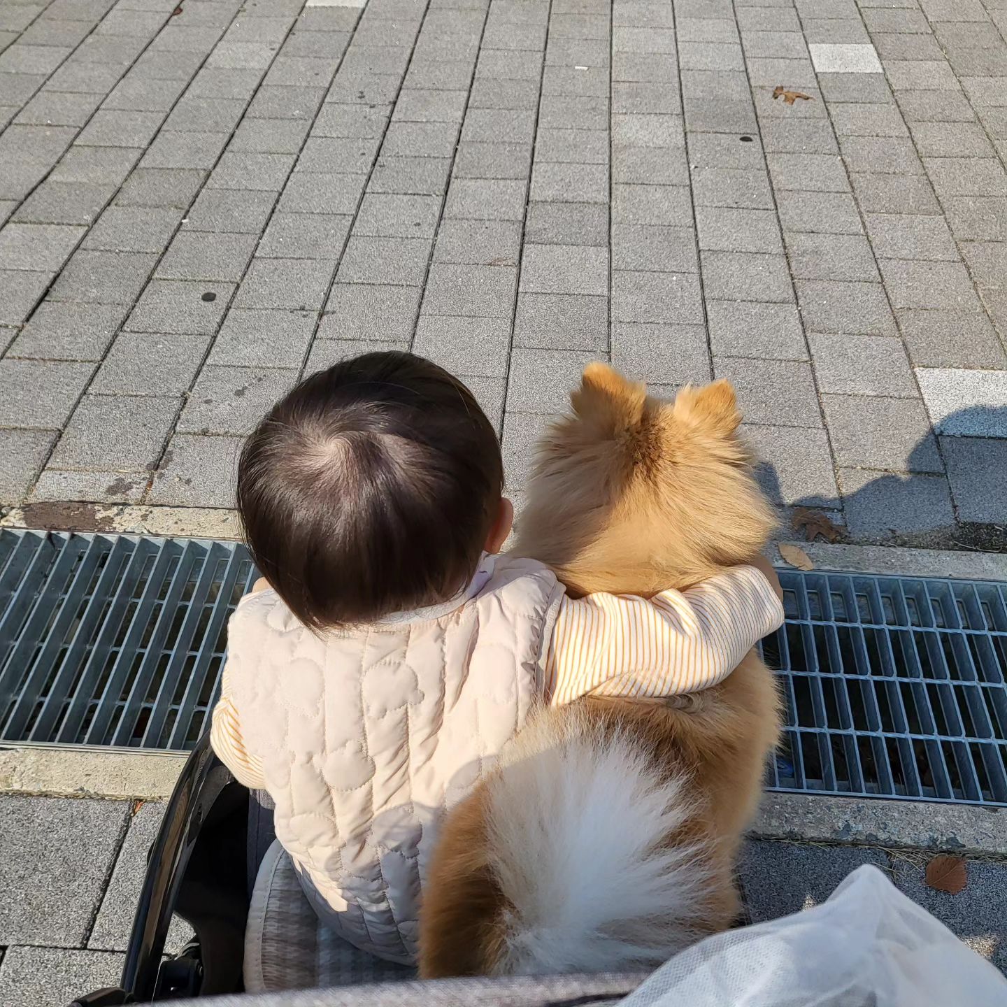 오랜만에🌳
많이 컷네 우리 아가들🩷
>>담엔 구름이형아두 함께😍

#애개육아 #아기와강아지 
#남매 #남매맘 #남매샷 #누나와동생