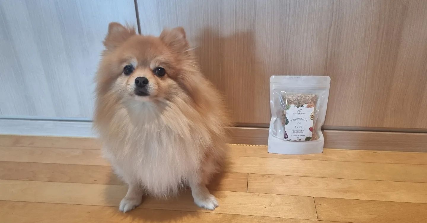 안녕하세요! 마루누나예요~ 마루누나가 이번에  일산을  다녀왔는데요~제가 일했던 부스는 쉿! 시크릿 입니다 ㅋㅋ 저 봤던 분들 쉿!! ㅋㅋㅋㅋ 이번에 일산에서  제가 반가운 분을 보게 되었어요~~ 
우리 김마루군을 아껴주시고 이뻐해주시고 사랑해주시는 펫춈 사장님을 만나고 왔습니다~ 마루가 체중감량을 하는 중이라 체중감량에 도움 될만한 선물 !기프트!  프레전트!를 주셨어요 ~~그래서 받기만 하기가 그래서  작게나마 도움이 되고자 비타500을  사가지고 부스에 갖다 드렸더니  감사하다고ㅜㅜㅜ 생수에 레모타 타서 호로록 하셨다고  디엠을 주셨더라구요 3일동안 말하시고 우리 네발친구들  반기려면 힘이 있으셔야 할거 같아 목 관리 잘하시라고 드렸는데 챙겨주셔서 너무 감사하다고 하셨어요ㅜㅜ 비록 매장과 마루 집은 끝과 끝이지만 그래도 오서셔  너무 감사 했어요!
아! 마루누나가 마루 주려고 이벤트해도 떨어지고 그랬지만 괜찮아요 마루사진보고 위로움을 달래고 있습니다 ㅎㅎㅎ
사장님! 비록 먼곳에 있지만  마루와 마루누나가 응원합니다! 힘내세요! 
그리고 네발친구들 매장에 놀러오면  간식도 주셔야 하고 놀아주시려면 몸 관리 잘 하셔야 합니다!