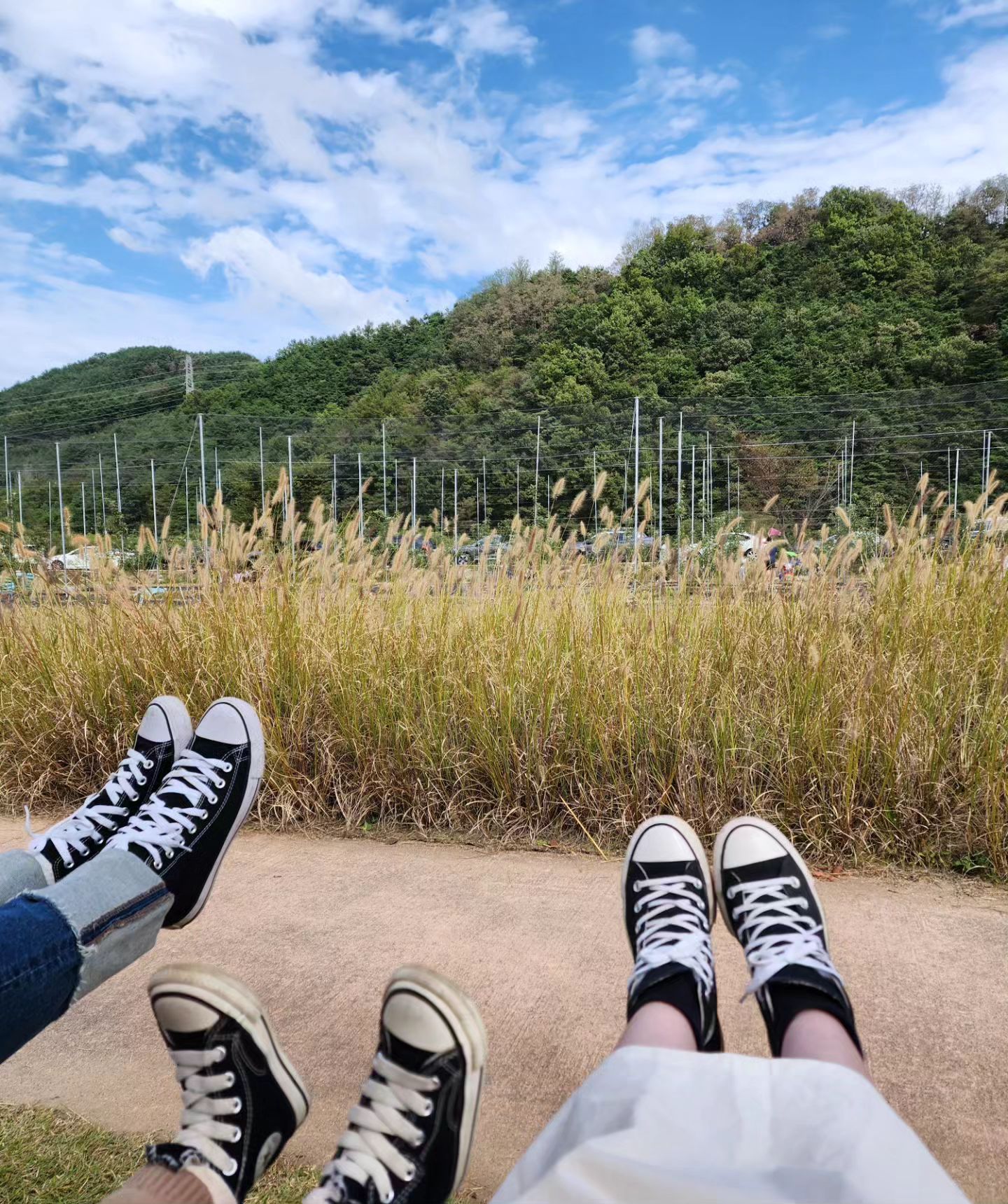 이번주말은
성주메뚜기축제💚