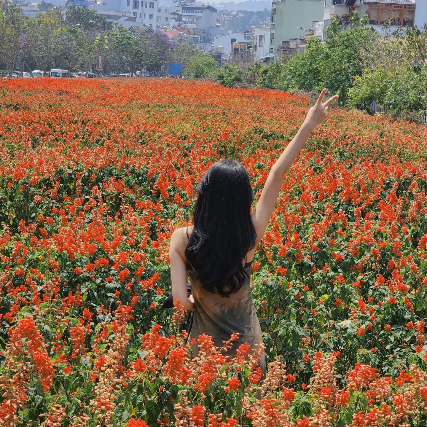 🌷🌹🌷