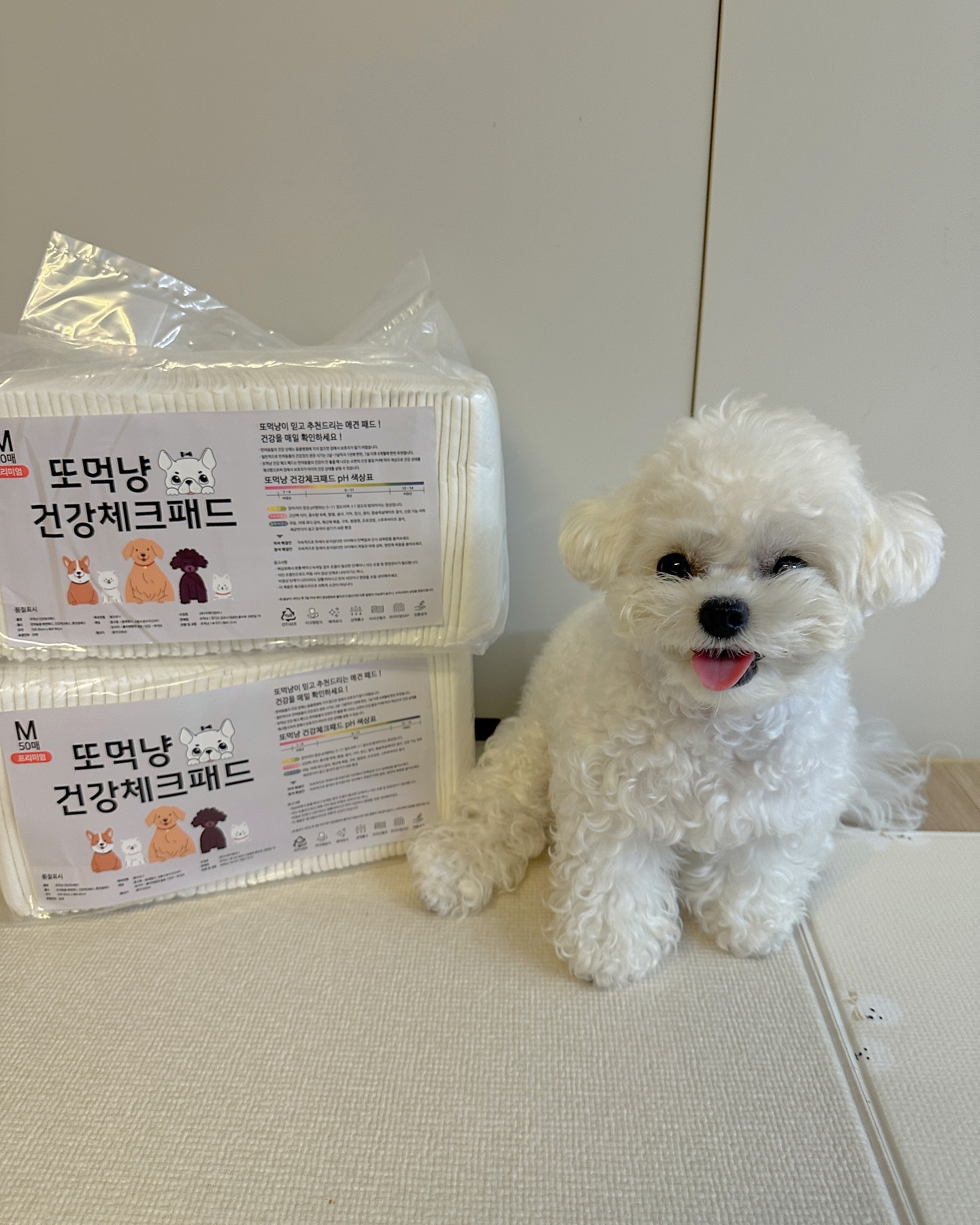 #제품제공 친구들 이제 배변패드로 건강췤!!!!

이 신기한 배변패드는 ❝또멍냥 건강체크패드❞
소변의 pH에 따라 패드의 글자색이 즉각적으로 변해 
우리 댕댕이들의 건강상태를 수시로 확인이 가능하다구!

소변은 건강과 식이, 생활습관 등에 따라 pH가 변한대!!!!!!

뽀또는 정상범위였는데

배변패드로 건강체크 해보고 싶은 친구들은 
ddomungnyang 
또멍냥 배변패드 보러가보자구!!!!
.
.
.
.
.
#또멍냥 #강아지패드 #강아지배변패드 #배변패드
 #배변패드추천 #또산템 #건강체크패드 #강아지용품