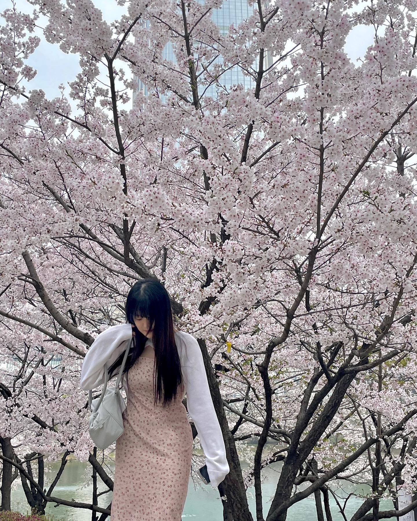 의도치 않게 보호색 🌸😮
