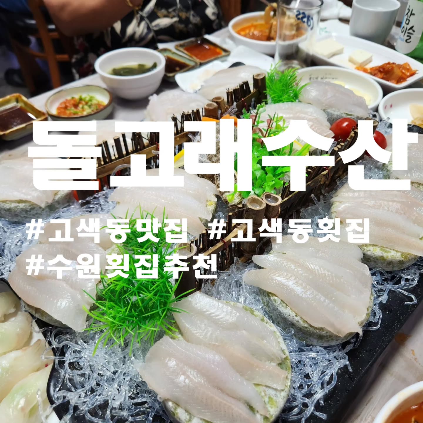 #내돈내산
수원 고색동맛집 "돌고래수산"

수원에서 스끼다시 많이 나오는 횟집 추천!!
가족끼리 외식할때 항상찾는곳입니다.
2인3인4인구성 다양하게있고,밑반찬이 많이 나와 가족외식하기 너무 좋은곳!!
자연산놀래미회 처음 먹어봤는데 쫄깃하고 맛있습니다.
물회도 시원하니 맛더라구요~~

<주문내역>
자연산 놀래미회 (해물5종+매운탕포함)-100,000원
물회-30,000원

#수원 맛집 #수원핫플 #수원역맛집 #수원맛집추천 #수원맛집베스트 #수원데이트 #수원데이트추천 # #수원역 #수원  #수원가족 #외식 #고색동맛집 #고색동 #수원횟#수원횟집추천 #고색동회