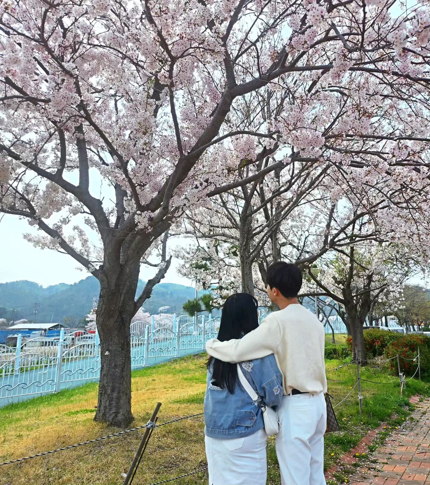 날씨도 꽃도 너무 예뻤던 날 🌼💛
소고기도 너무 맛있었댜 ,, 💛