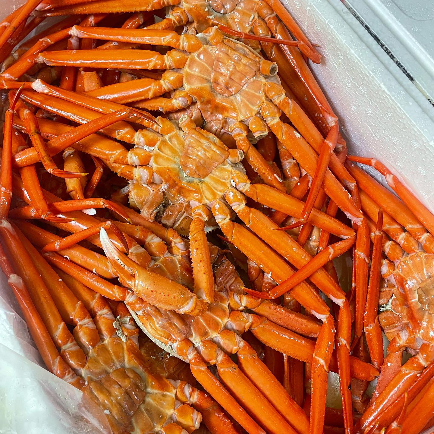 [대진수산🦀] 후포리 홍게맛집
언제 먹어도 맛있는 홍게 
오랜만에 친구가 집에 온다해서
주문해서 택배로 받았어요❤️
살이 얼마나 많은지 한번에 쏙안빠지더라구요👍
크기가 상관없이 수율이 너무좋아서
항상 믿고먹는 맛집이예요 ! 

daejinsusan 
- 경상북도 울진군 후포면 울진대게로 149 
- 영업시간 08:00 ~18:00
- 오후 3시 이전 주문 시 당일배송 익일도착! 
-택배&포장 전문점

#대진수산#후포리홍게#홍게맛집#울진홍게#박달대게#박달홍게#홍게택배#자숙홍게택배
