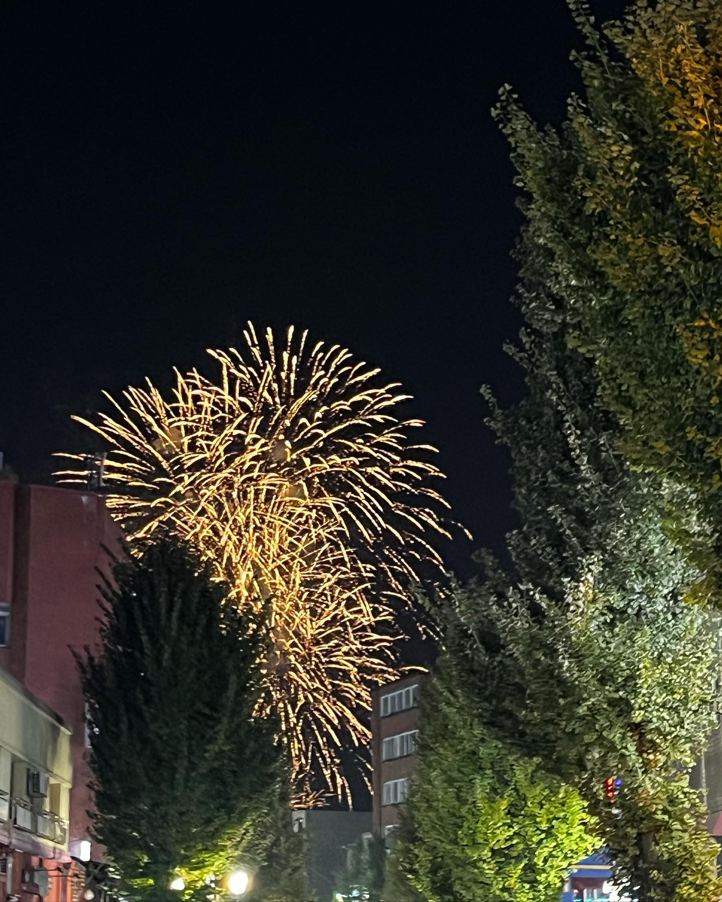 ✨