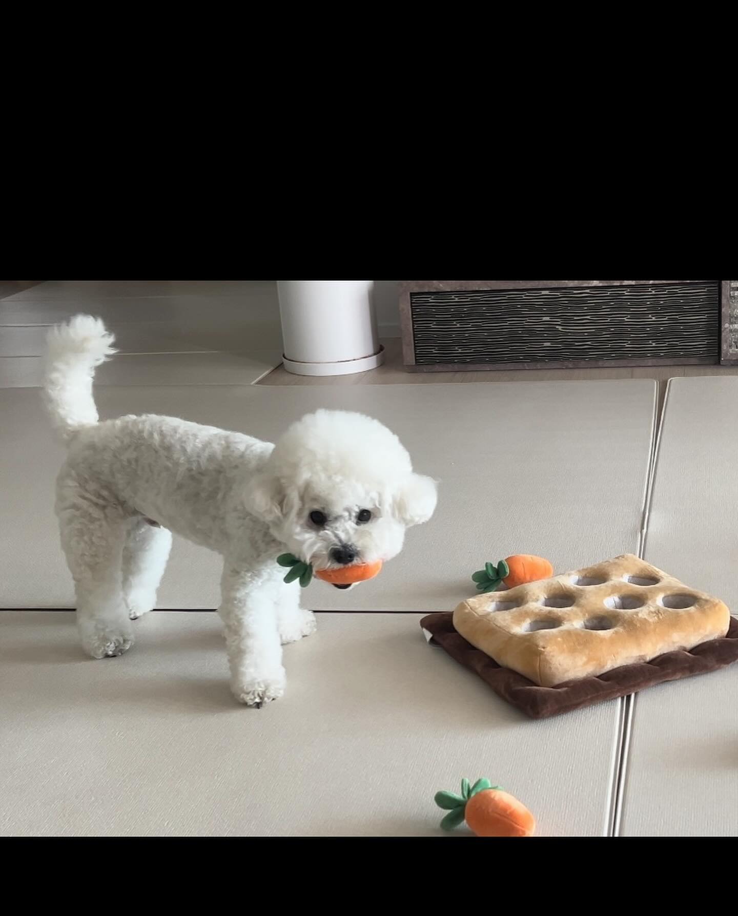 -

🥕농부 콩이씨의 하루🧡