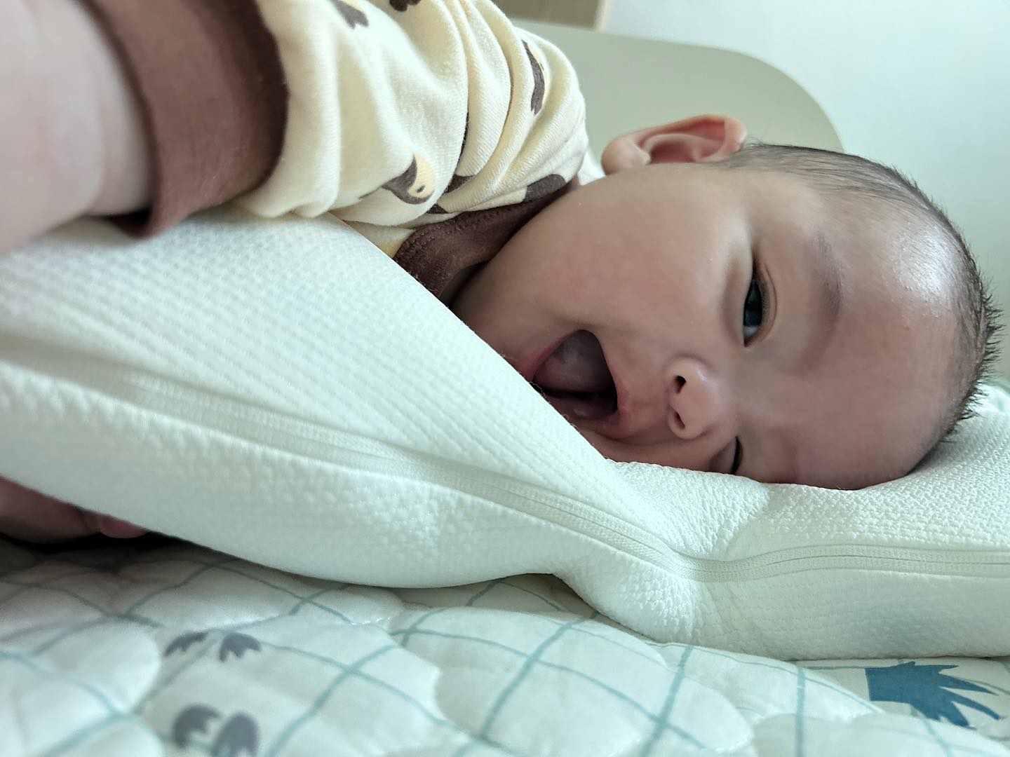 요즘 근황❣️
곧 5개월
뒤집기 천재
빡빡이👶🏻
미소천사
기상 셀카
🐷