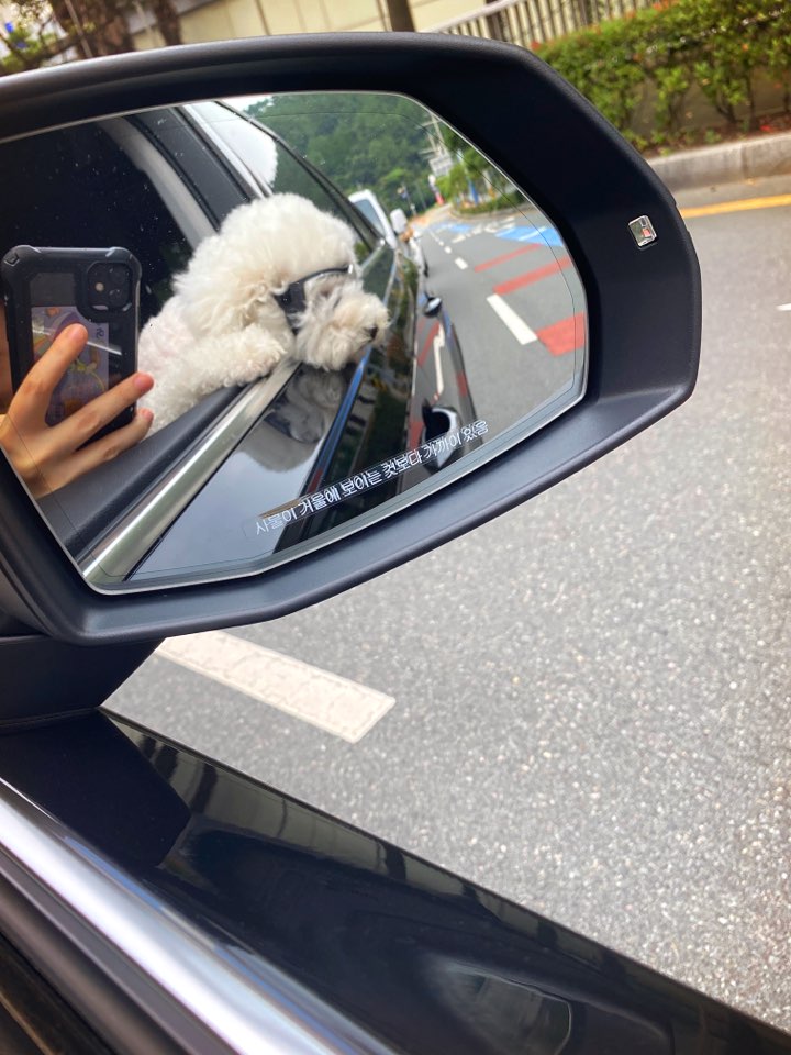 콘텐츠