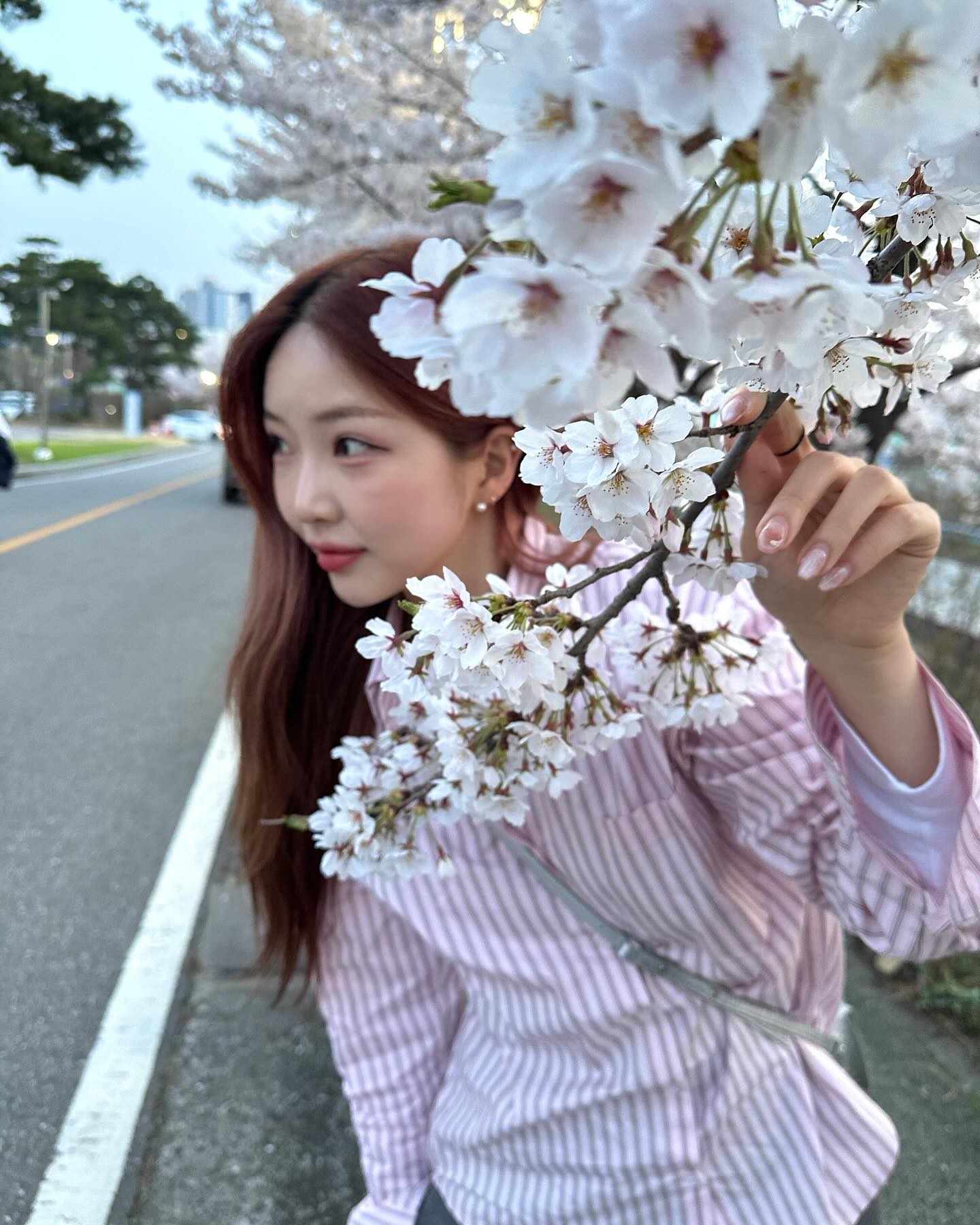 나더 벚꽃!!🙂🙃