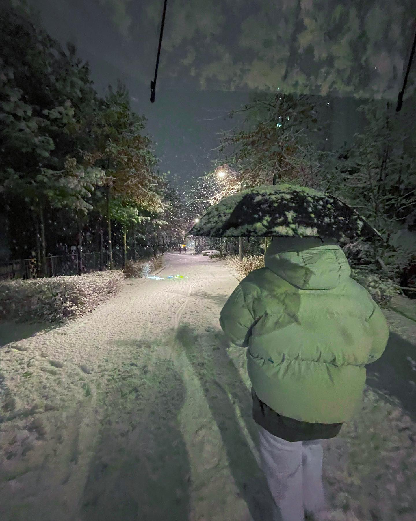 옴메메메 잠깐 잠들었다가 일어낫더니 무슨일이야 눈온다 들었지만 이렇게 옴팡지게 올줄은 몰랐는걸 우어어어어어 #일상#일상스타그램 #눈온다#폭설 #경기도