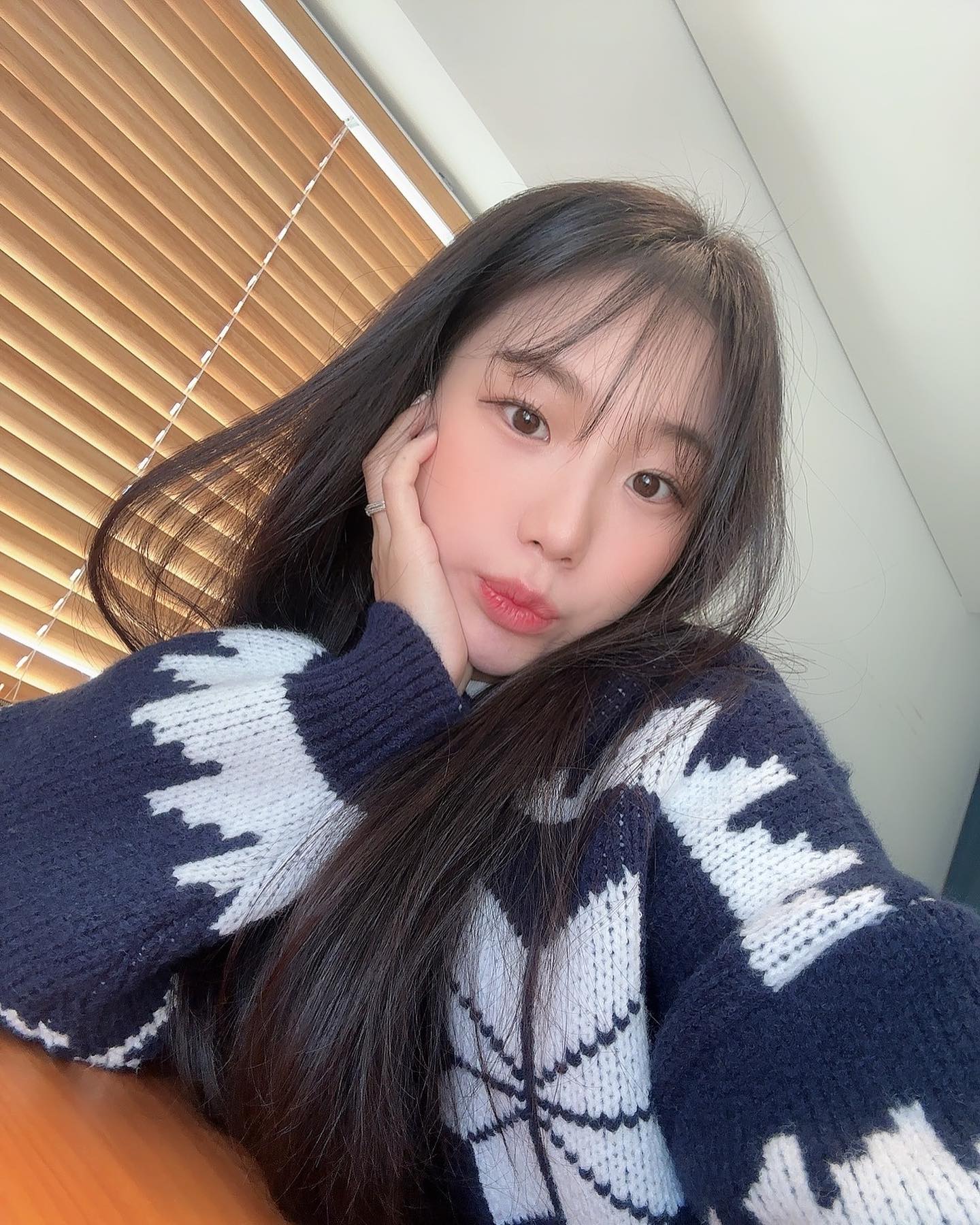 지프조아🚙
