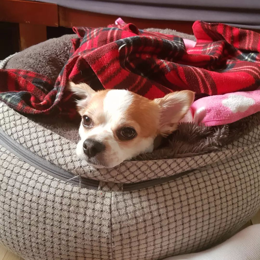 콘텐츠