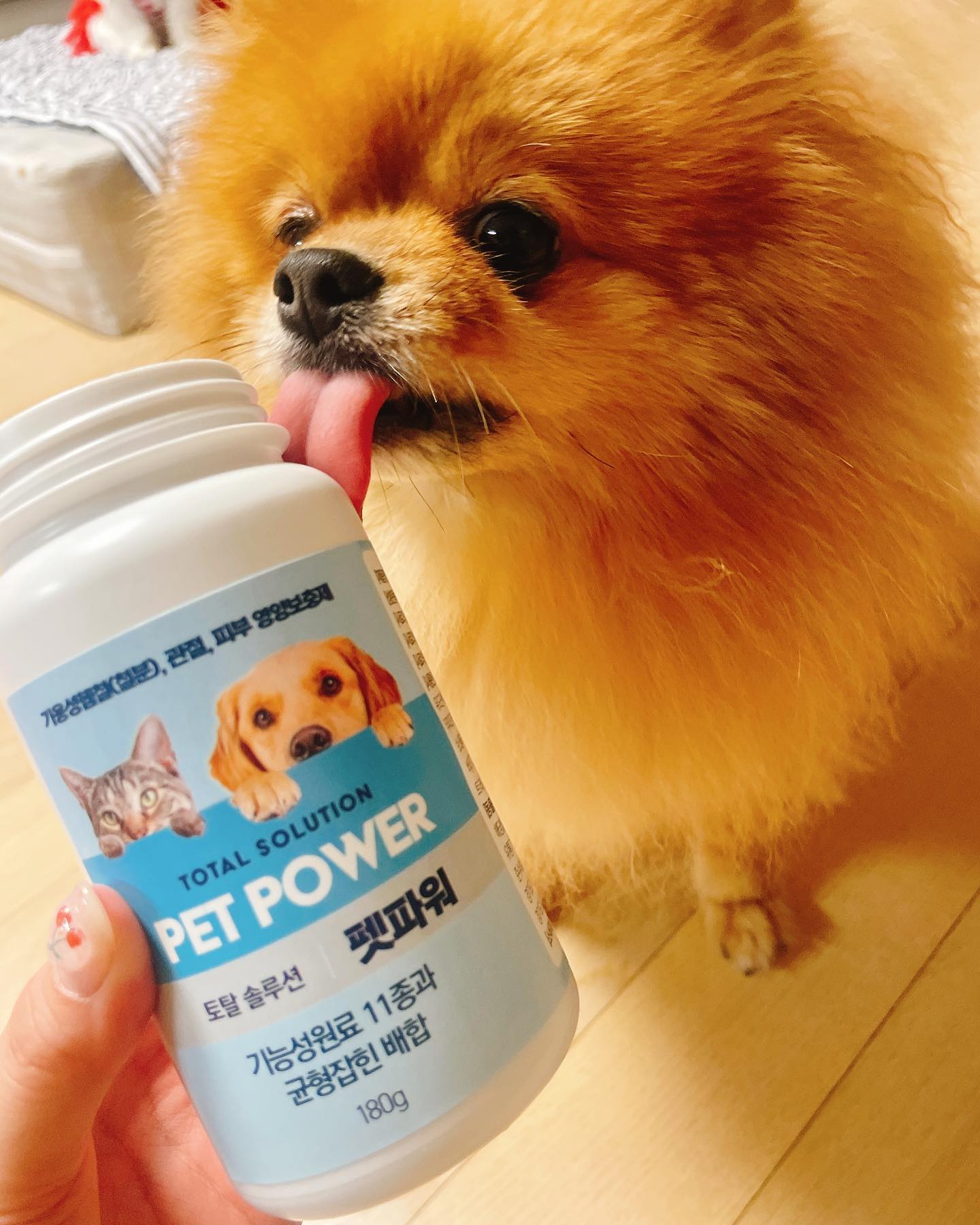 #협찬 #제품제공 _pet.power 

안뇽 댕칭구들😘
오늘 #펫파워 에서 아랑포민이에게 선물을 주셨어! 
바로 토탈 솔루션 케어 강아지종합영양제 펫파워야😎

펫파워에는 다양한 성분이 포함되어있는데 

📌일반 철분과 다르게 부작용이 잘 없고 물에 잘 녹고 
흡수율이 높은 가용성헴철성분이 들어있어 
빈혈증상에 도움을 줄 수 있어😊

📌관절,연골 건강에 도움을 줄 수 있는 
글루코사민, MSM, 홍합, 상업연골, 보스웰리아 성분이 포함되어
관절이나 슬개골이 약한 댕댕이들에게 도움이 될 수 있어😆

📌피부염 완화, 면역기능 강화에 도움을 줄 수 있는 
오메가3, 콜라겐, 비타민C 히알루로산, 아연 등이 
포함되어 있다구❤️

이렇게 빈혈, 관절, 피부와 면역에 도움이 될 수 있는
다양한 성분들을 한 눈에 볼 수 있어😁
5키로 이하 소형견은 하루에 1개
5~10키로 중형견은 하루에 1~2개
10키로 초과 대형견은 하루에 2~3개 먹이면 돼!
기호성이 좋아서 너무 잘먹어서 좋아😆

다른 영양제들과 다르게 종합영양제라 
하나만 먹여도 된다는데 너무 편해
댕칭구들 영양제 미리미리 챙기쟈❤️

#강아지영양제 #고양이영양제 #반려동물영양제 #펫영양제 #강아지관절 #강아지피부 #강아지철분제 #강아지신부전 #고양이신부전 #강아지영양제추천 #고양이영양제추천 #강아지관절영양제 #강아지종합영양제 #강아지피부영양제