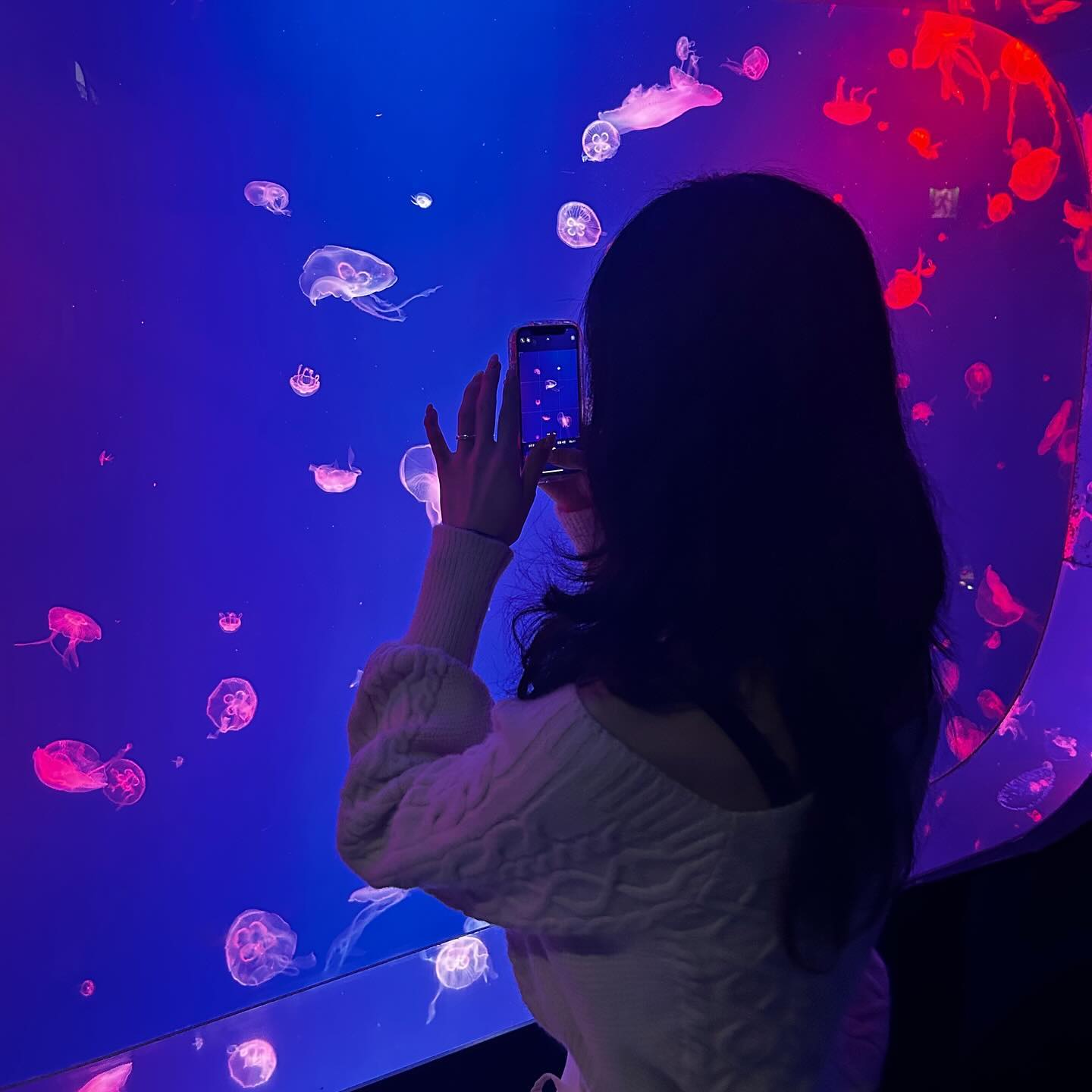 ..🪼 なにとぞお願い悲しまないで