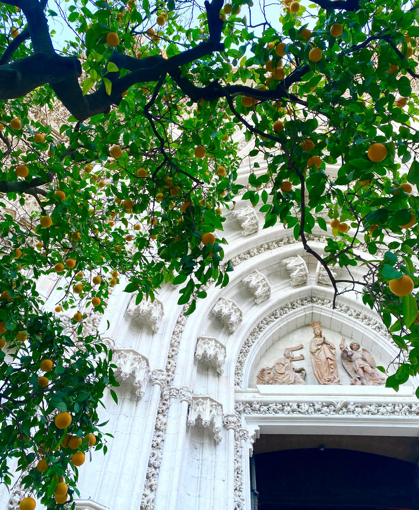 Sevilla date 🍊
#sevilla