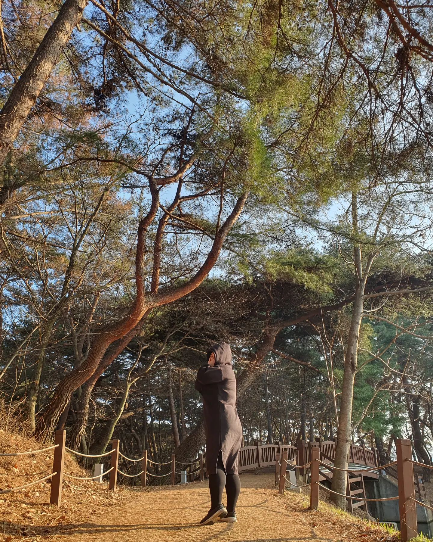 웬 일로 사진을 잘 찍어줬지? #빅사이즈

힙핑크 슬림라인 기모 압박스타킹 300D
신은 후부터 밤에 종아리가 덜 붓는다
압박스타킹인데도 신고 벗기도 편하고 답답함도 없고,
배부분은 편하면서 흘러내리지도 않는다
⠀
⠀
⠀
⠀
⠀
⠀
#힙핑크 #기모압박스타킹 #빅사이즈기모스타킹