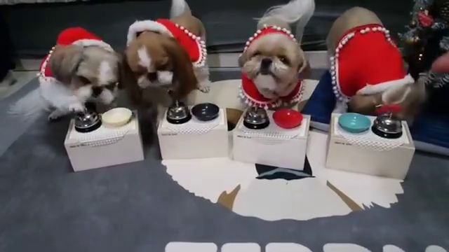 콘텐츠