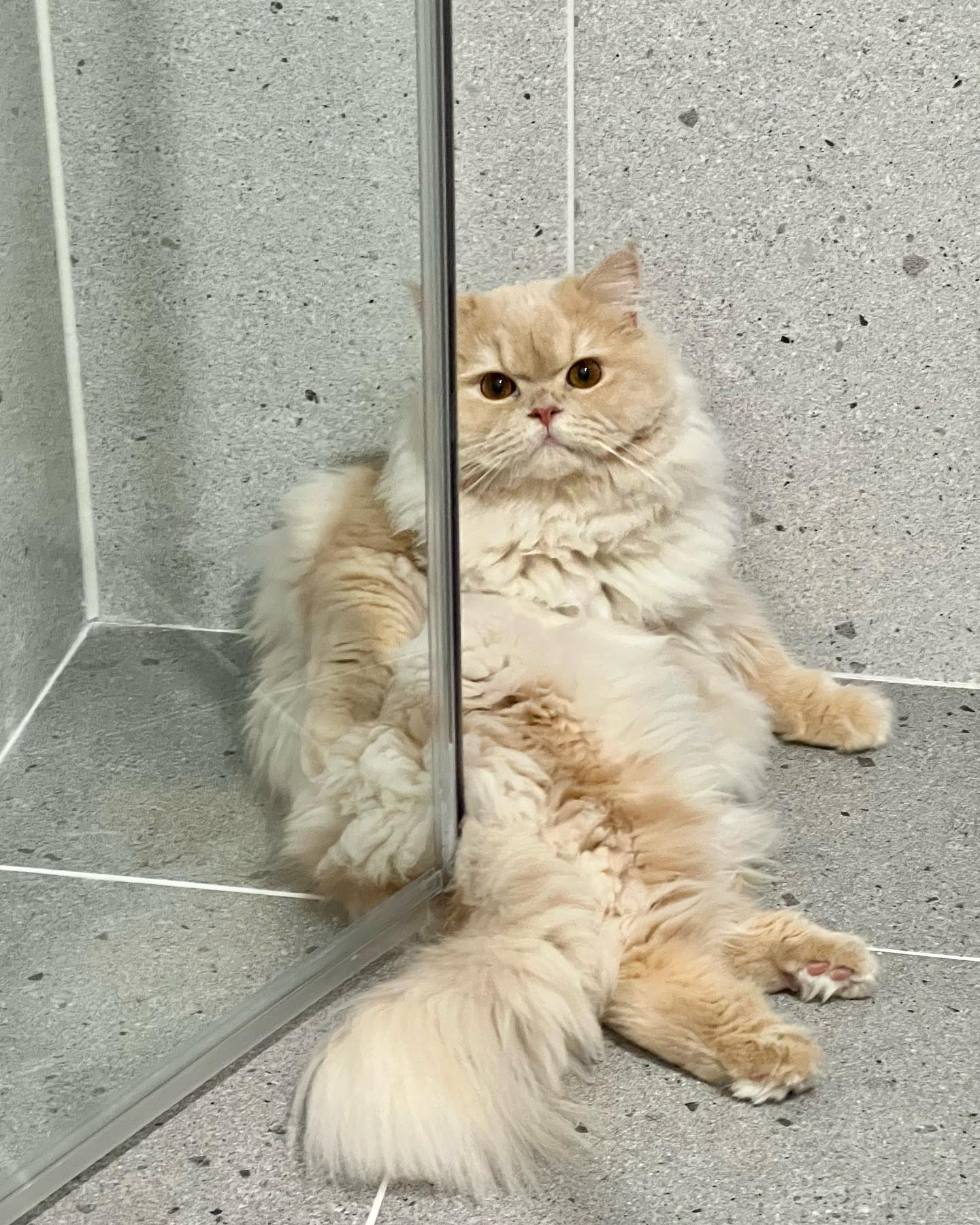 오트는 잘 지내요•••🤍🤍