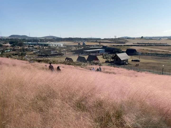 11월 제주, 파란하늘과 핑크빛갈대 💖 
요즘 단체수학여행으로 제주가 너무 조용해서 어딜가든 사람이 없어서, 웨이팅안해도되서 여행하기는 좋아요 ෆ ?
 
제주살이가 얼마 안남았다고 생각하니, 이제서야 아쉬워서
멀어서 못간 서쪽마을을 계속 찾아보는 중 ㅋㅋㅋ
 
 
 
#꼬밀레_제주 #제주살이 #제주여행 #jeju