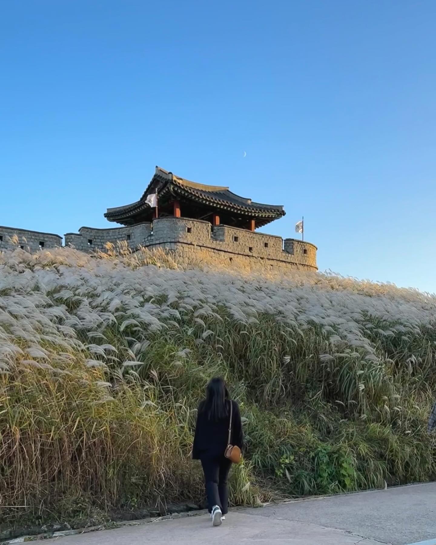 콘텐츠