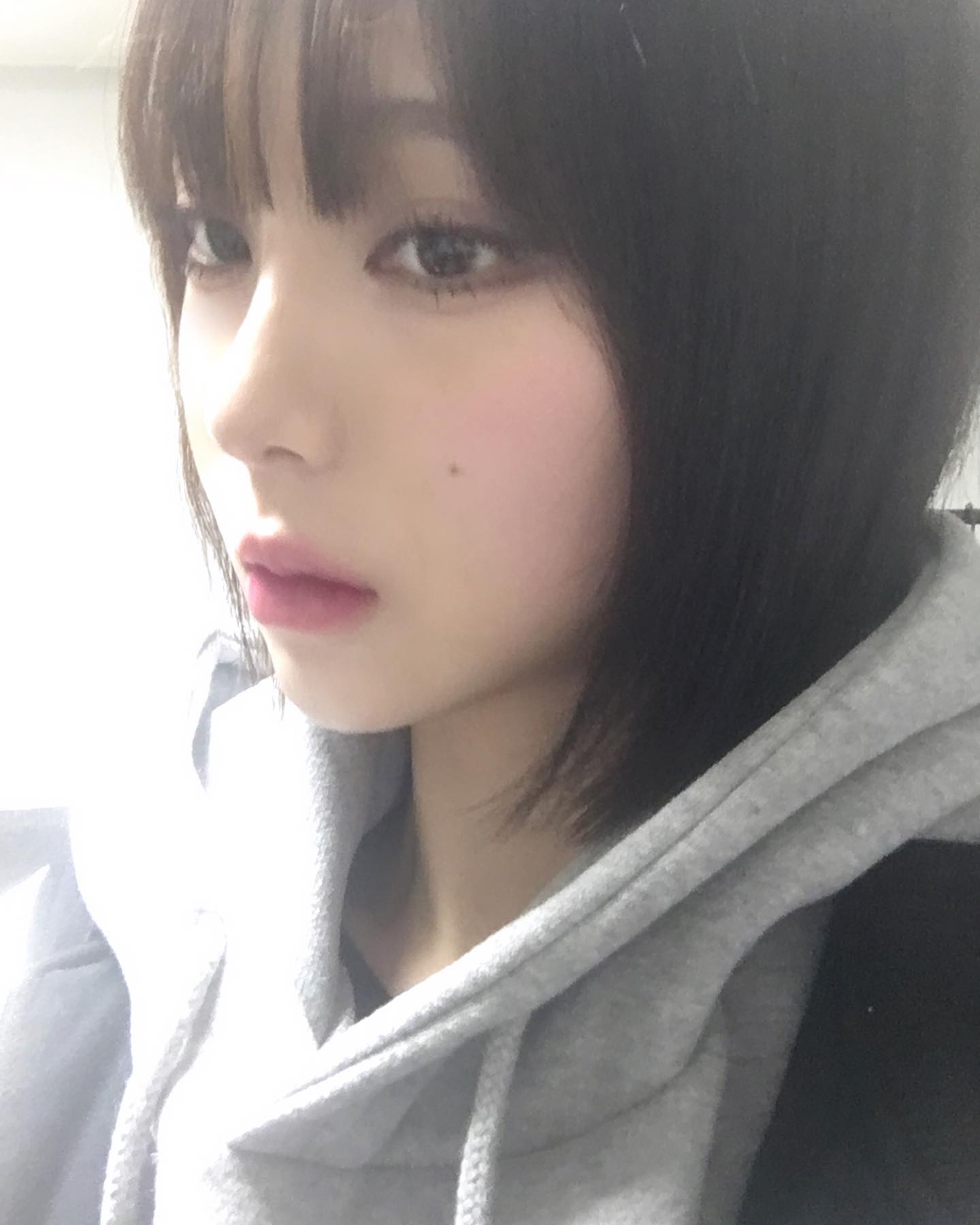 사진 찍는 법 까먹었어용가리
