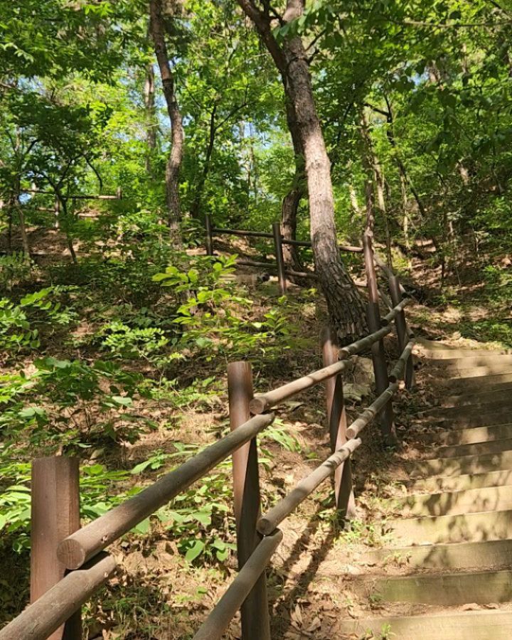 오빠가 하찌 데리고 매일 가는 집앞 산엘 한번 따라가봤는데.. 씻긴지 일주일도 안돼서 냄새나는이유 여기있었네..🤦‍♀️
.
.
#대구 #경북 #경산 #프렌치불독 #프불 #화운프불 #불독 #견주소통 #애견인소통 #강아지일상 #산책 #백천동 #경산산책하기좋은곳 #경산가볼만한곳 #경산애견동반 #애견인 #반려견 #강아지 #중형견