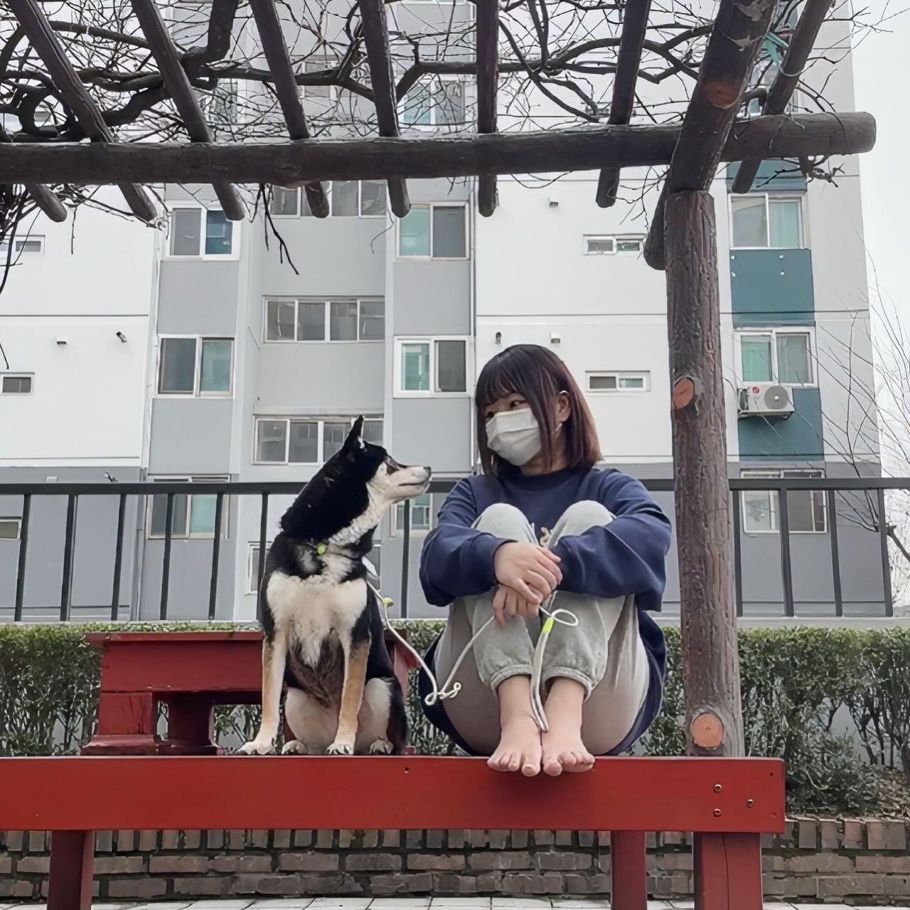 덕꾸랑 산책나와쩌여🐶❤️
#강아지 #산책 #일상 #맞팔 #소통 #답방
