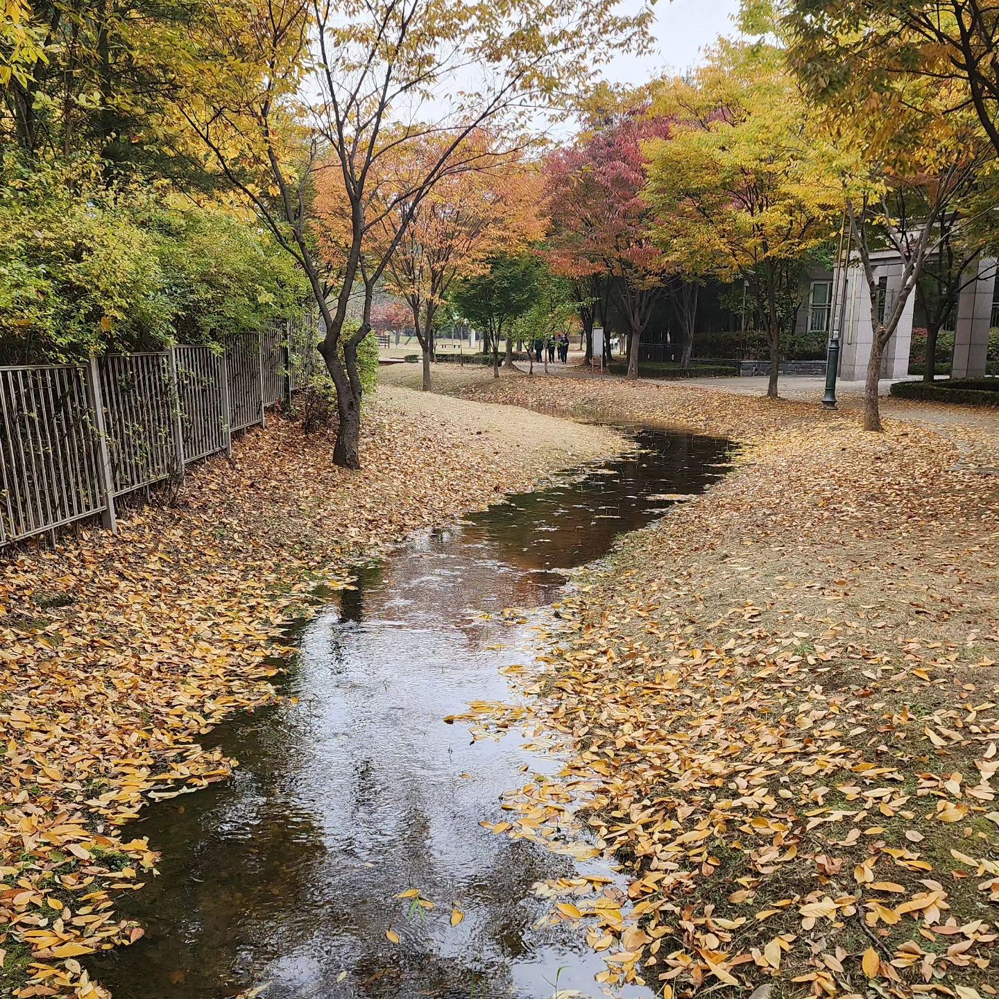 가을 🍂