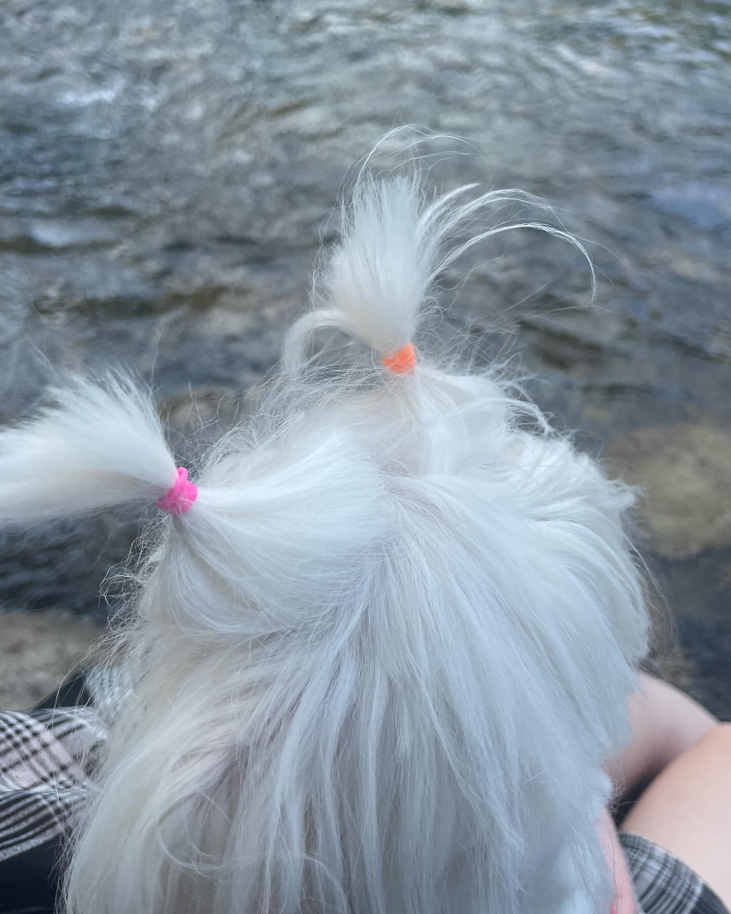 작년에 아랑이랑 계곡 넘조아찌🥰
조만간 또가쟈💛