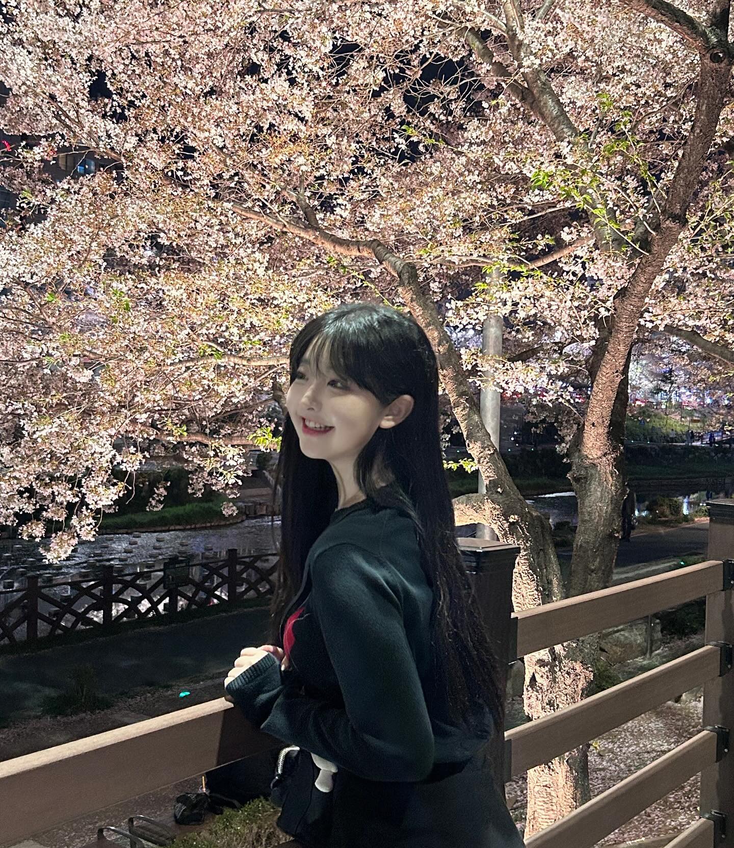 4일 연속 벚꽃 •• 🤭 이렇게까지 즐길 생각은 없었는데
