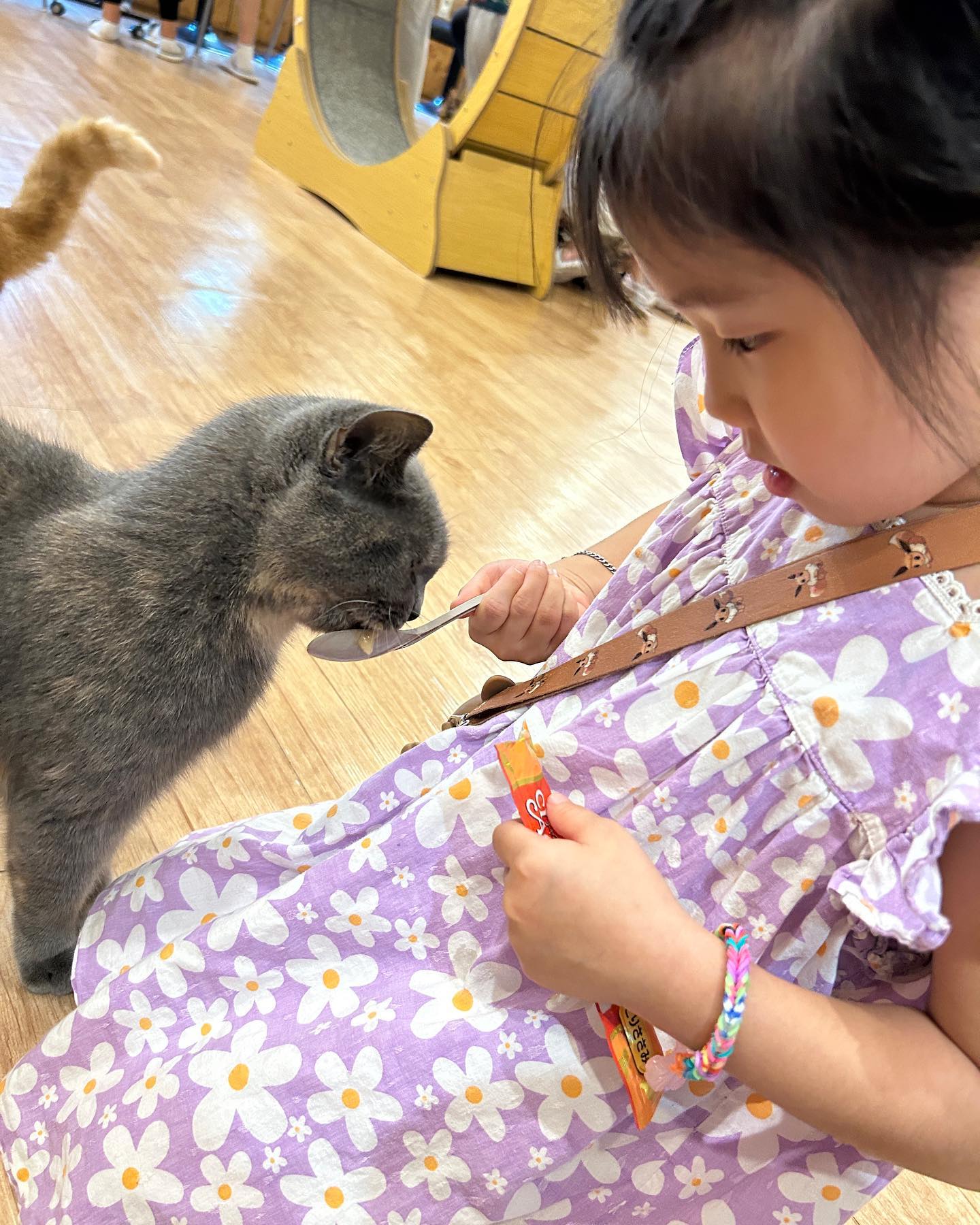 #atticat #부산고양이카페 #고양이다락방부산 #고양이다락방남포 #가족나들이추천 #겨울데이트코스