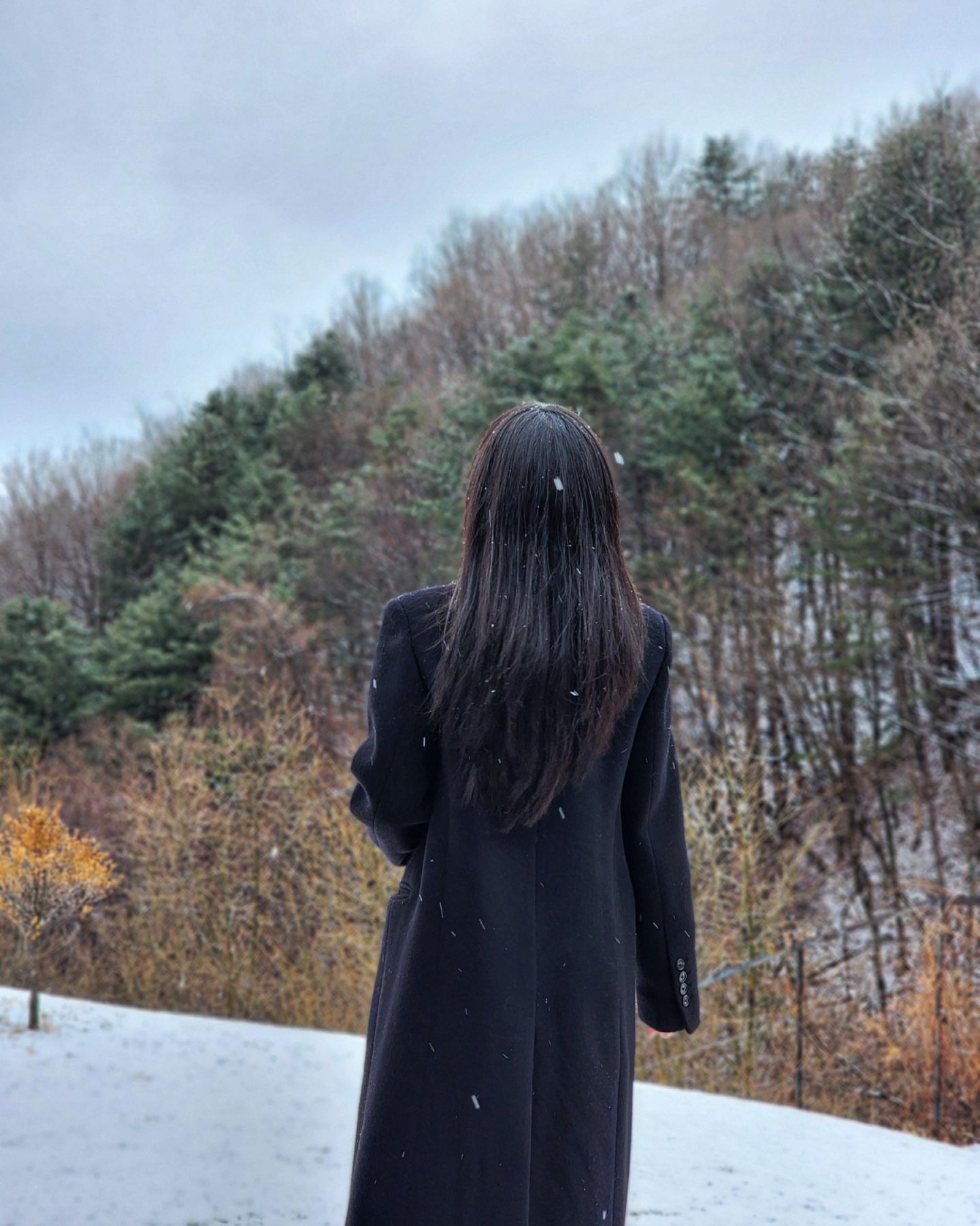 내 피드는 아직 겨울인데 요즘 자꾸 봄날씨네 👀