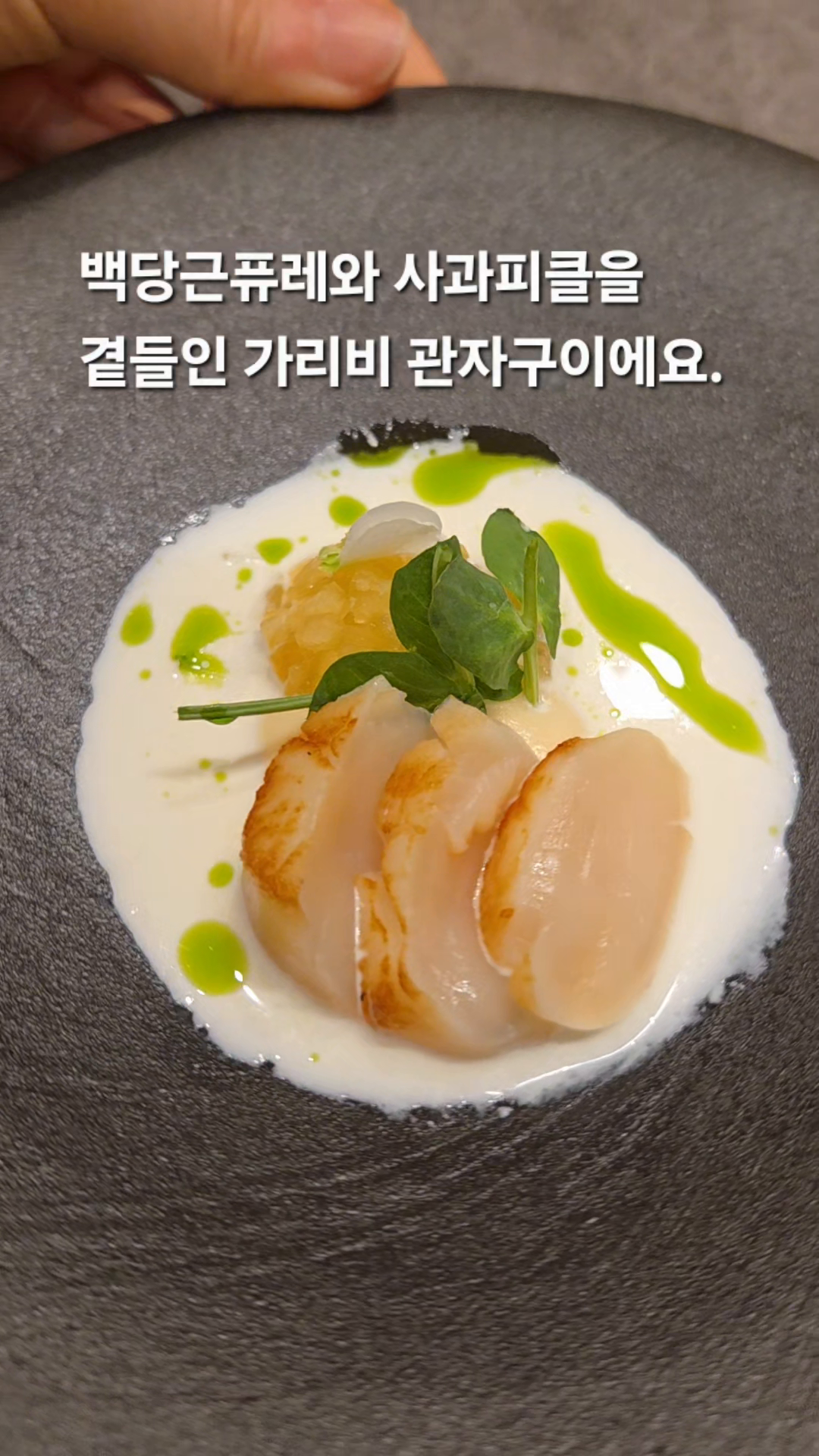 콘텐츠
