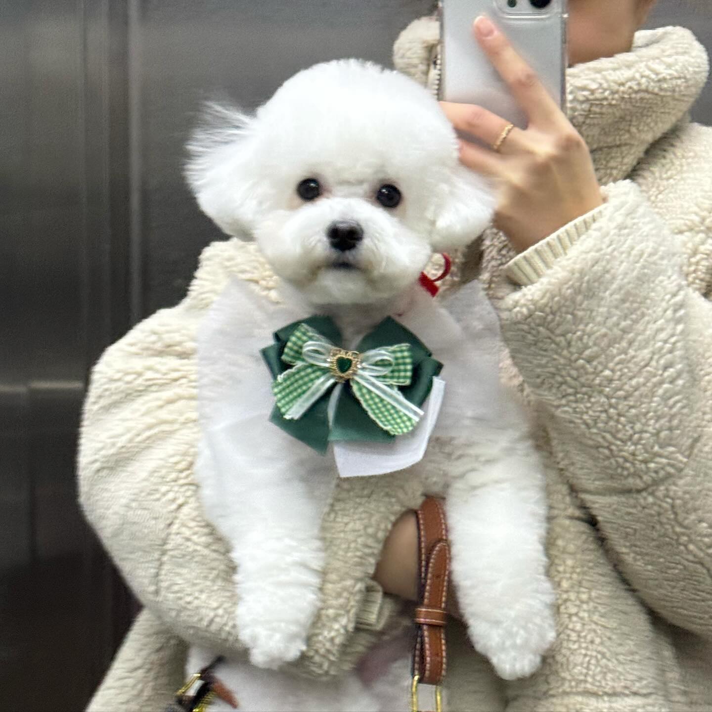 #미용했어요✂️