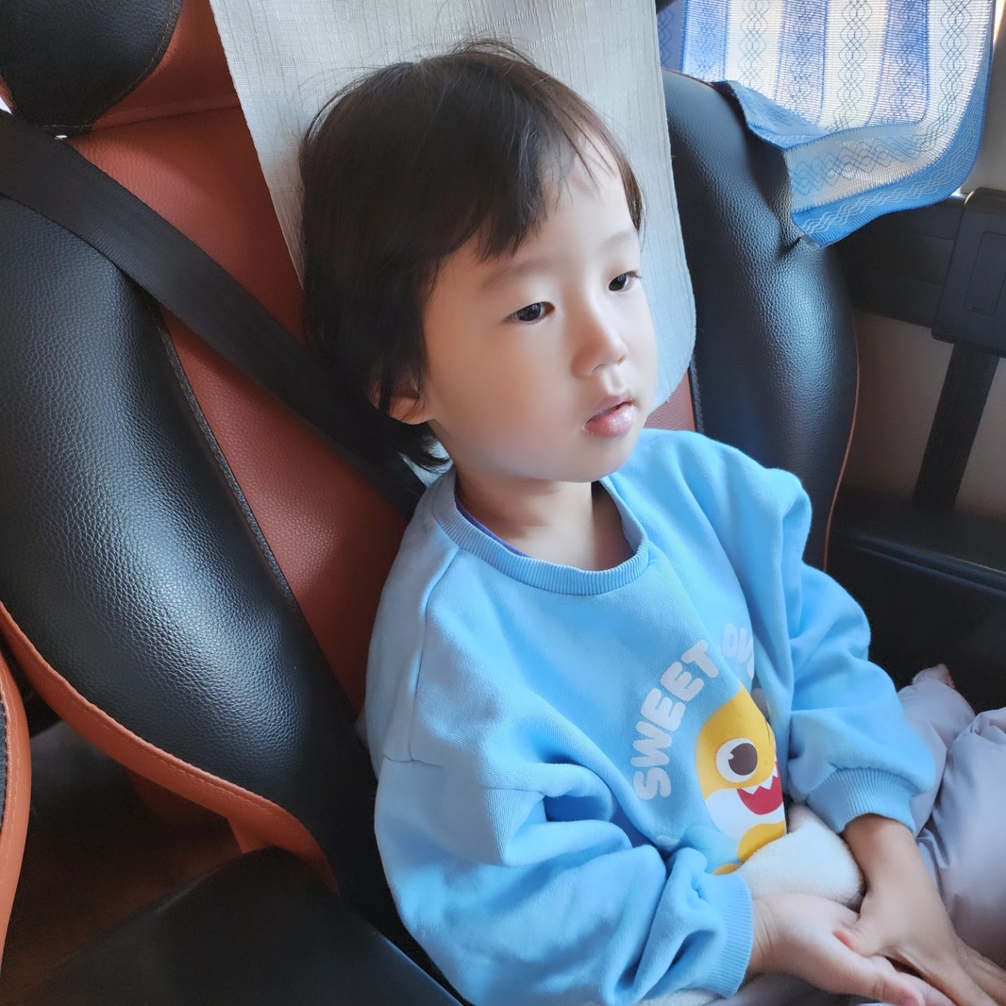 #협찬 #숙박제공 

쭈니 서울 병원 예약해서 서울 가는 김에
#가평키즈풀빌라 #코지키즈펜션  다녀왔다!!
넓은 풀장에 쭈니가 좋아하는 정글짐까지
완벽한 #키즈풀빌라 에 토끼먹이와 닭장에서 알까지
구경할 수 있는 #체험펜션 으로 가족여행 오기
정말 좋은곳이다 특히 풀장에서 
처음 보는 보트가 있어서
우리 쭈니 신이나서 물놀이 몇시간 했는데도
부족해서 울면서 끌려나왔다!! 
아침에도 수영할 수 있으니
아침에도 물놀이 하자 아들아 ❤️❤️
사장님도 친절하시고 뭔 말이 필요할까 ㅋㅋ
너무 신나게 놀아서 
10시에 꿈나라도 가신 아들님 덕분에
이제부터 엄마 자유시간이다 !! 야호 😍😍

#가평여행 #가평펜션 #가평가족펜션
#가평코지키즈풀빌라 #가평코지키즈펜션
#가평체험펜션 #동전노래방까지있어요 
#단순한키즈풀빌라는가라 #진짜알차게놀수있는
#아이들천국 #가평키즈풀빌라추천