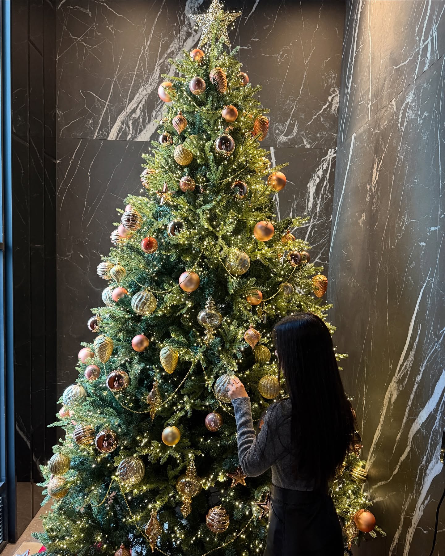트리는 못참지 🎄